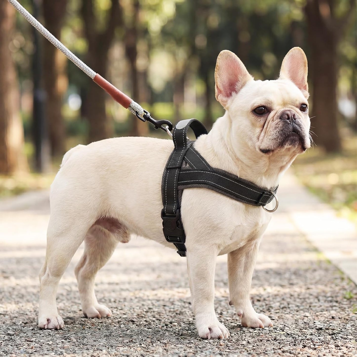 No Pull Dog Harness with Handle, Yorkie Adjustable Reflective Dog Vest, Breathable Air Mesh Padded Pet Harness with Front Leash Clip for Small Medium Dogs, Black, S