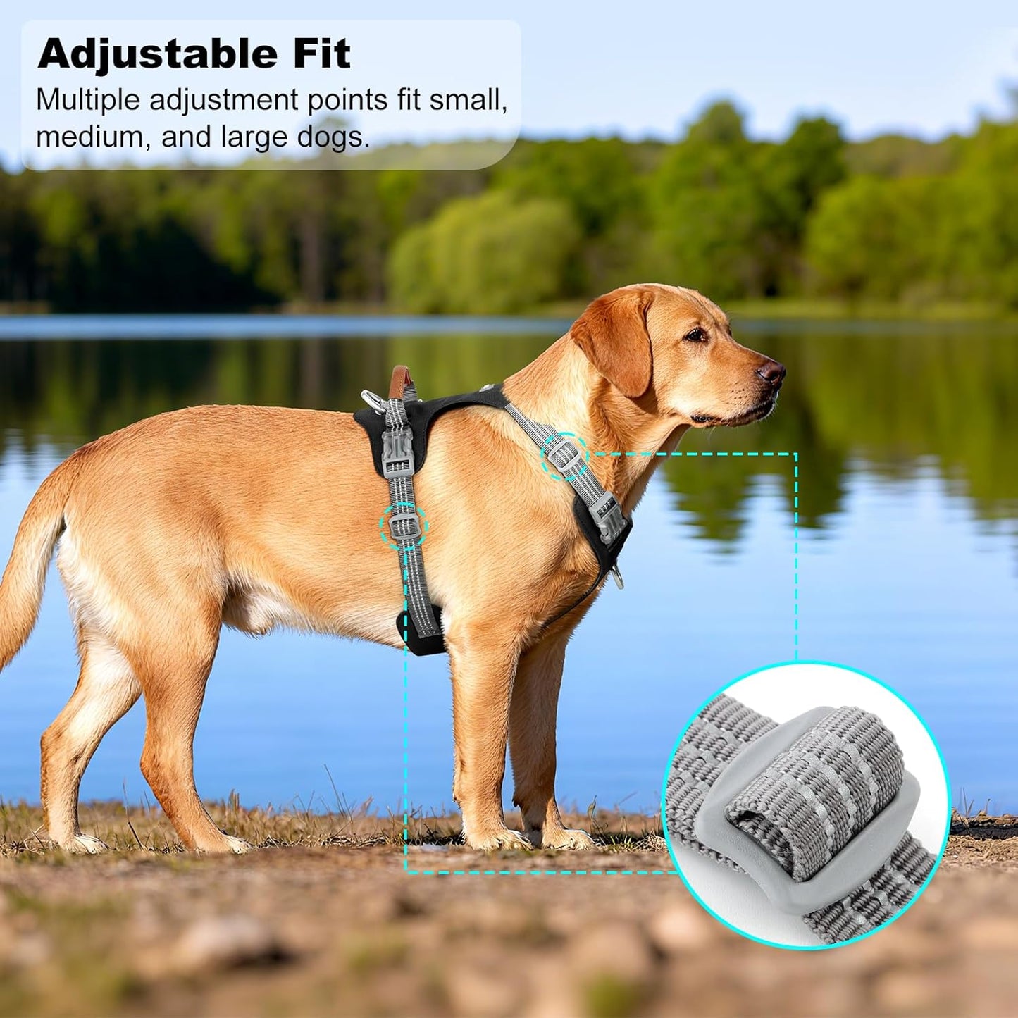 No Pull Dog Harness – Adjustable Reflective Nylon Vest for Small Medium Large Dogs, Escape Proof Training Harness with Leather Control Handle, Lightweight Aluminum Hardware (Black, M)