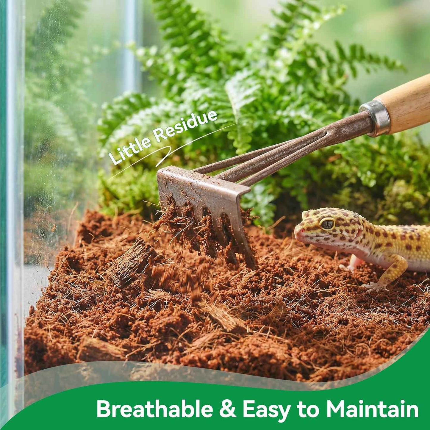 5 Pcs Organic Coconut Fiber Substrate, Biodegradable 100% Natural Coco Soil Brick, Multipurpose Eco-Friendly Terrarium Bedding for Reptiles, Tortoise, Bearded Dragon, Gecko, Snake & Amphibians