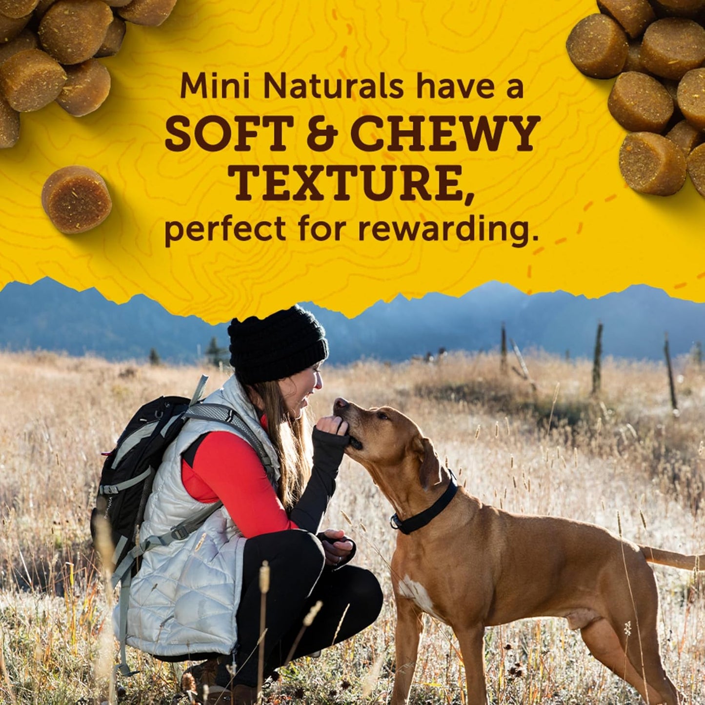 Zuke’s Mini Naturals Dog Training Treats for Dogs, Pet Treats Made with Real Chicken, 16 oz