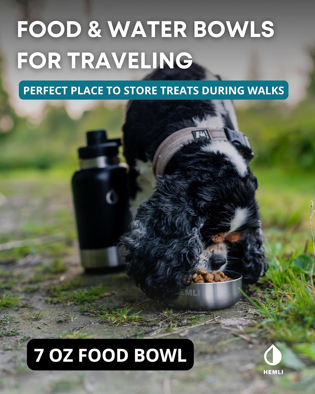32 oz. Dog Water Bottle, Insulated Dog Travel Water Bottle, Stainless Steel Pet Water Bottle Dispenser Portable Food and Water Bowl for Dogs with Carrying Case for Walking Dog Canteen Travel Kit