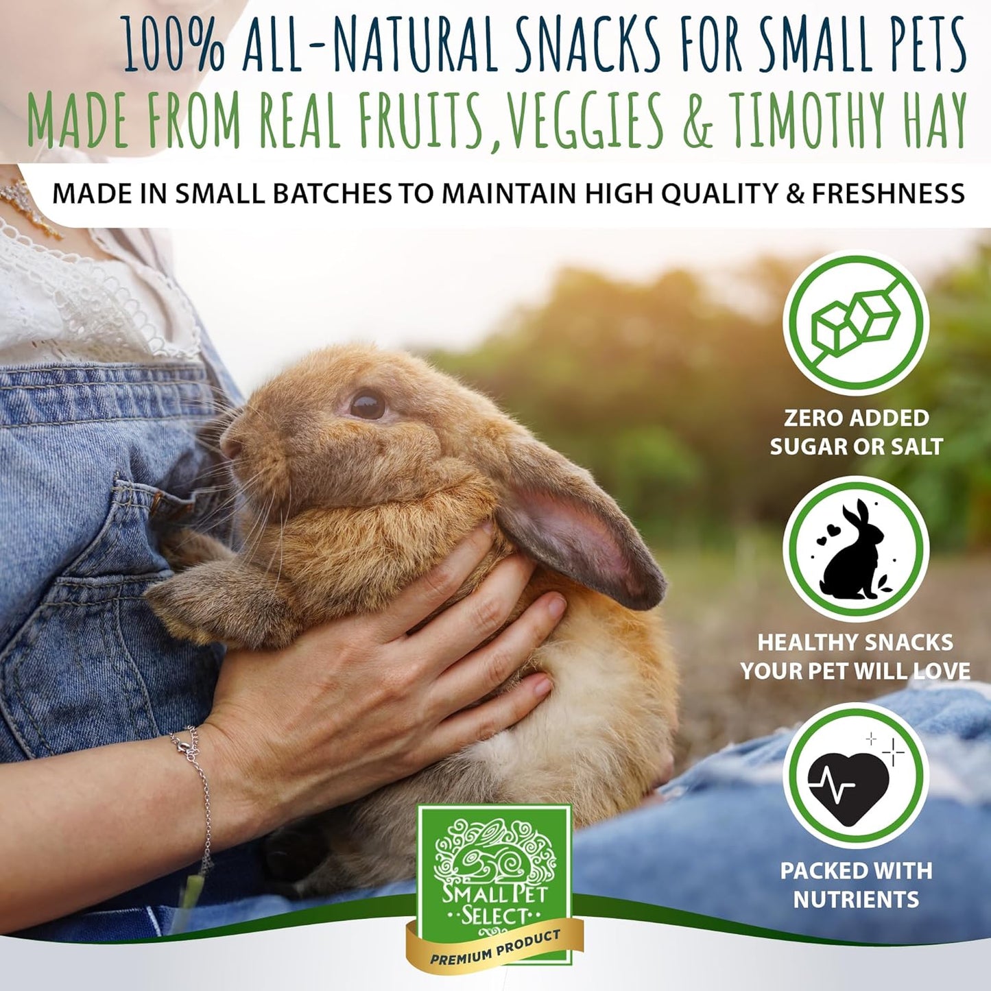 Small Pet Select - Healthy Snackers - Banana (Pack of 2)