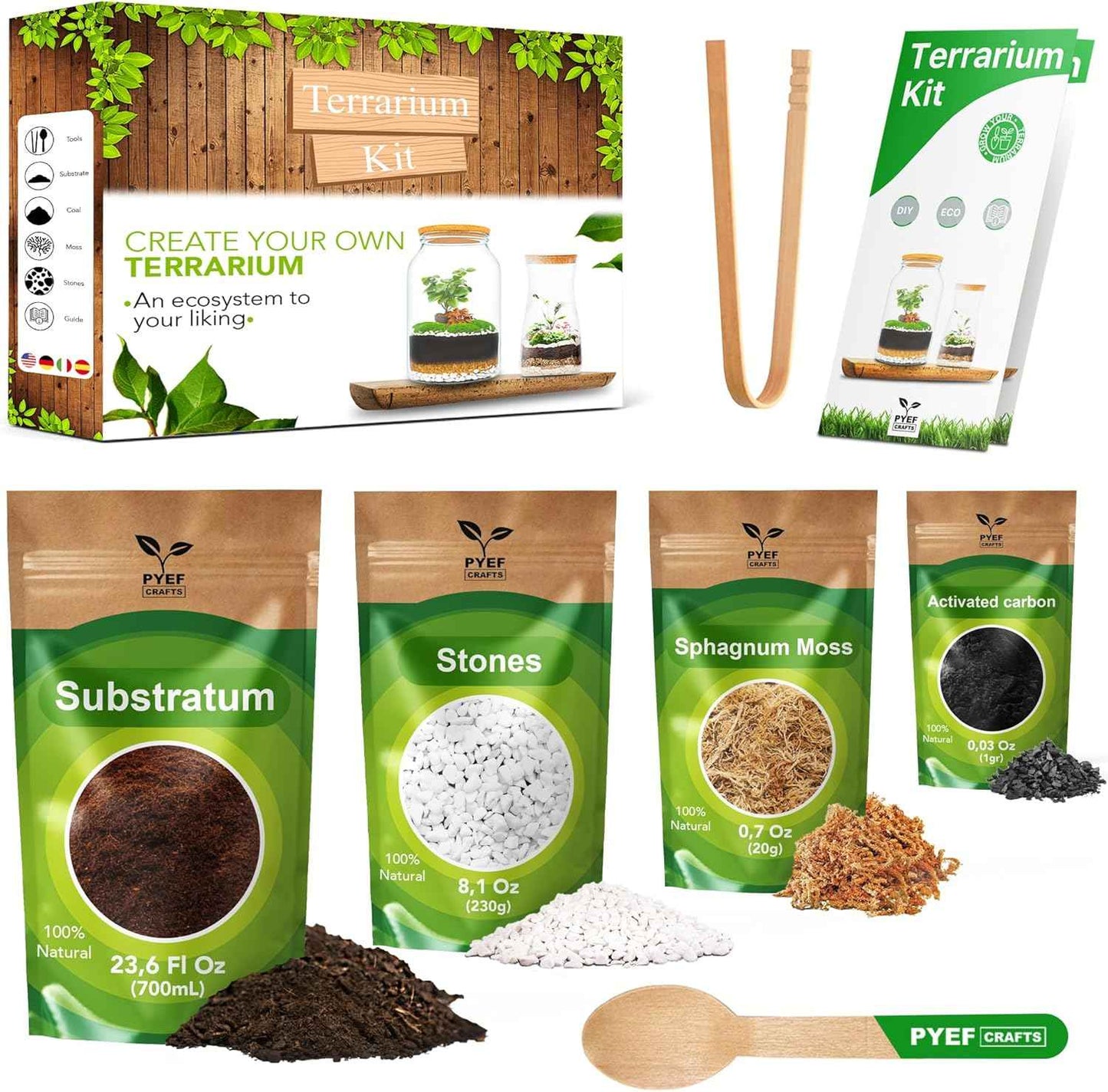 DIY Terrarium Kit for Plants – Build a Self‑Sustaining Closed Ecosystem – Supplies for Up to 68 oz (1‑2 Liter) – Succulents, Air Plants (Tillandsia), Fern – Jar Not Included