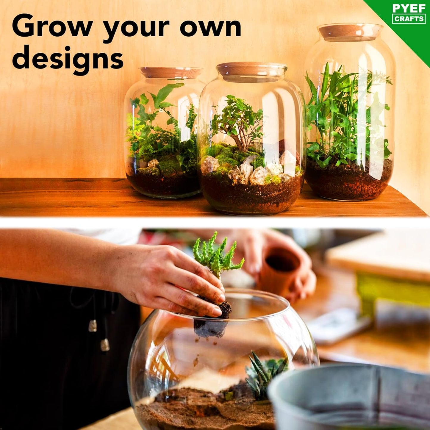 DIY Terrarium Kit for Plants – Build a Self‑Sustaining Closed Ecosystem – Supplies for Up to 68 oz (1‑2 Liter) – Succulents, Air Plants (Tillandsia), Fern – Jar Not Included
