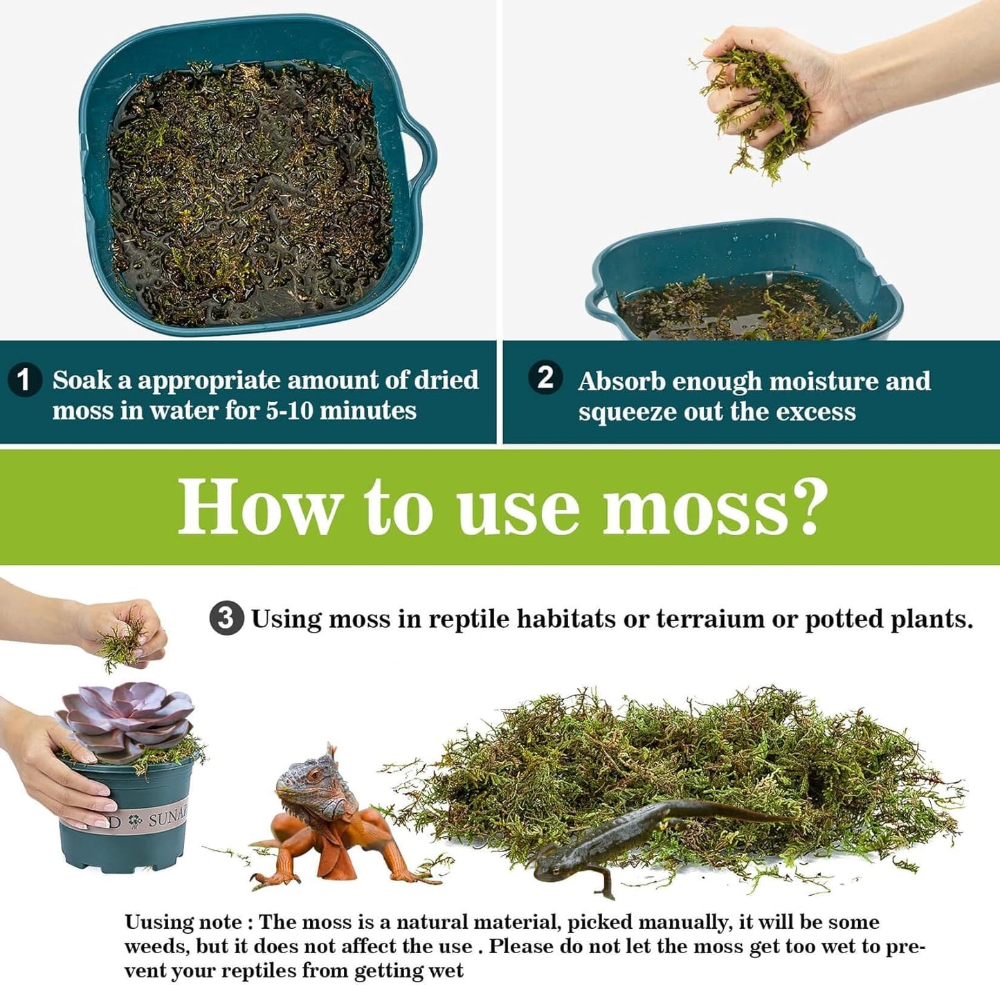 Sukh Sphagnum Moss for Reptiles -Terrarium Moss for Reptiles Peat Moss for Reptiles Habitat Bedding Moss for Snakes Turtle Frog Gecko and Other Reptiles Substrate (11.2, Ounces)