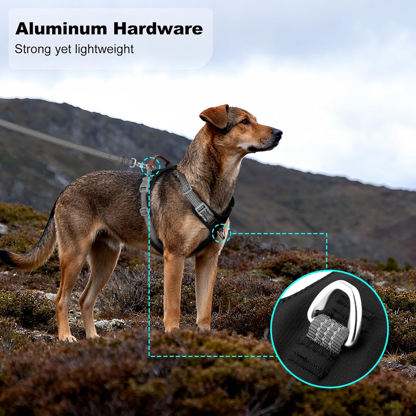 No Pull Dog Harness – Adjustable Reflective Nylon Vest for Small Medium Large Dogs, Escape Proof Training Harness with Leather Control Handle, Lightweight Aluminum Hardware (Black, M)