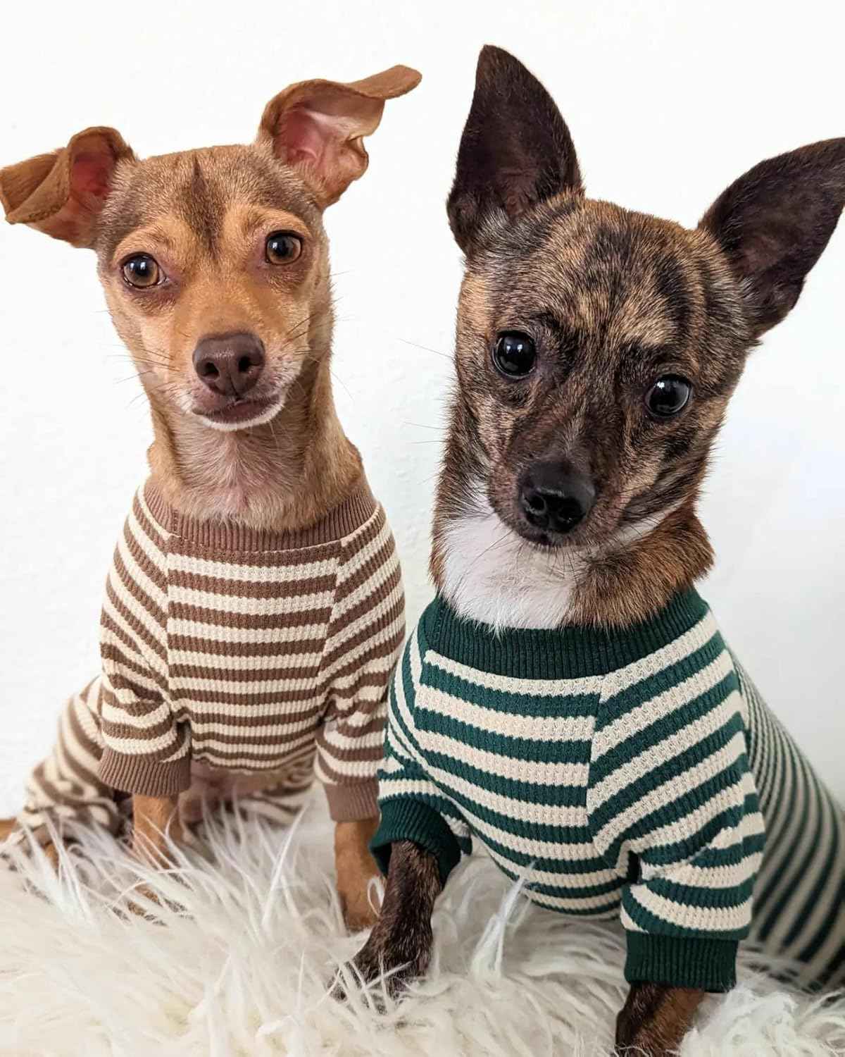 Fitwarm Green and White Striped Dog Pajamas, Waffle Dog Clothes for Small Dogs Girl Boy, Puppy Onesie with Feet, Pet Cat Outfit, Large