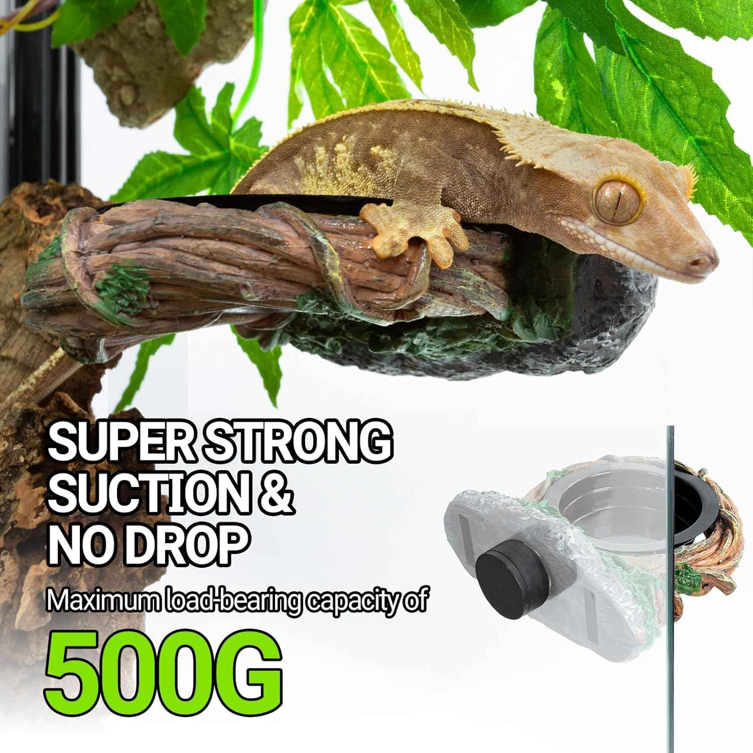 REPTI ZOO Magnetic Reptile Feeding Ledge, Gecko Feeder Ledge with 2PCS Cups, Hollow Vine Food Dish, Reptile Water Bowl for Bearded Dragon Lizard Snake, Terrarium Tank Accessories