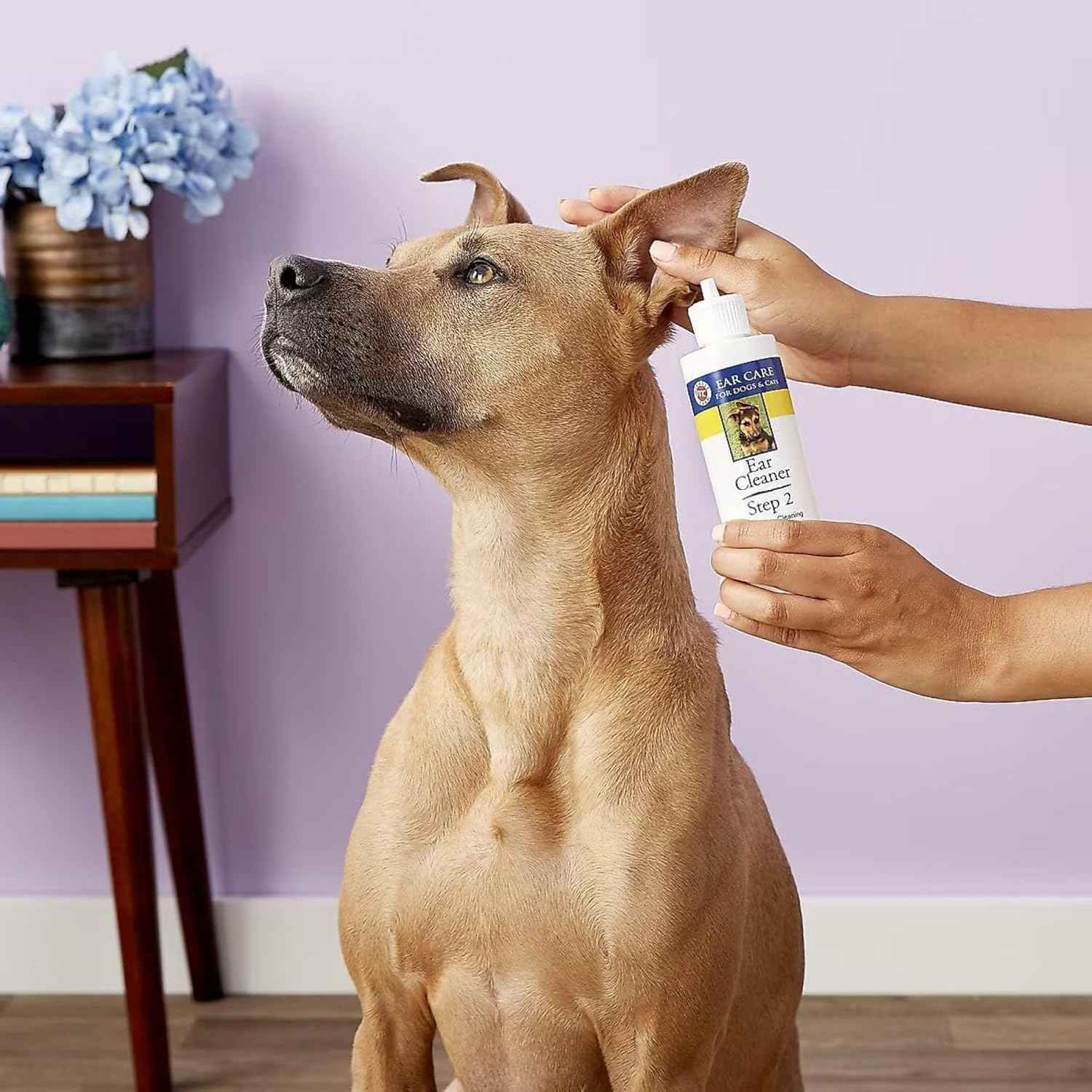 Miracle Care Ear Cleaner for Dogs and Cats, 8 Ounce, Reduces Ear Odor and Waxy Build Up, Gentle and Non Staining