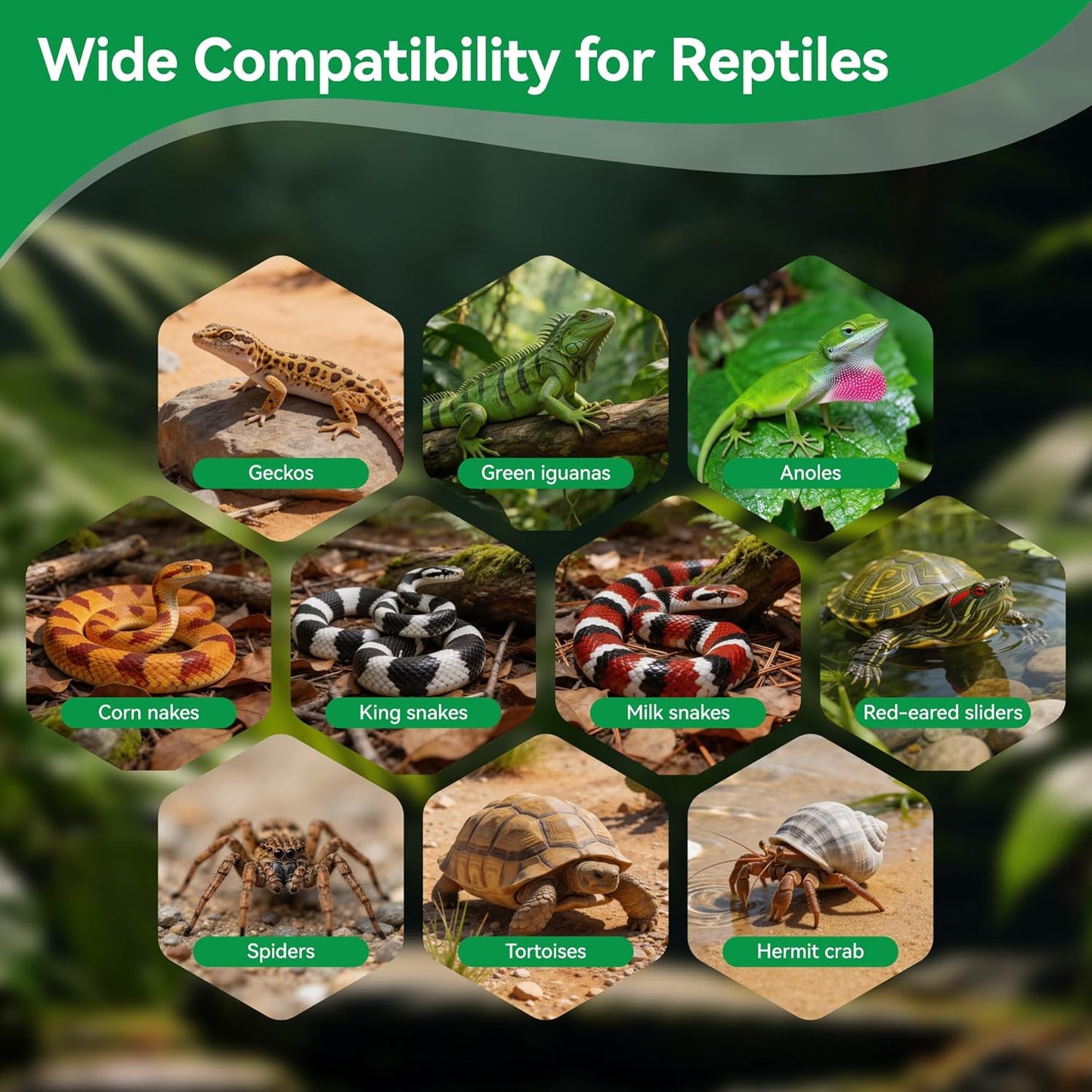 5 Pcs Organic Coconut Fiber Substrate, Biodegradable 100% Natural Coco Soil Brick, Multipurpose Eco-Friendly Terrarium Bedding for Reptiles, Tortoise, Bearded Dragon, Gecko, Snake & Amphibians