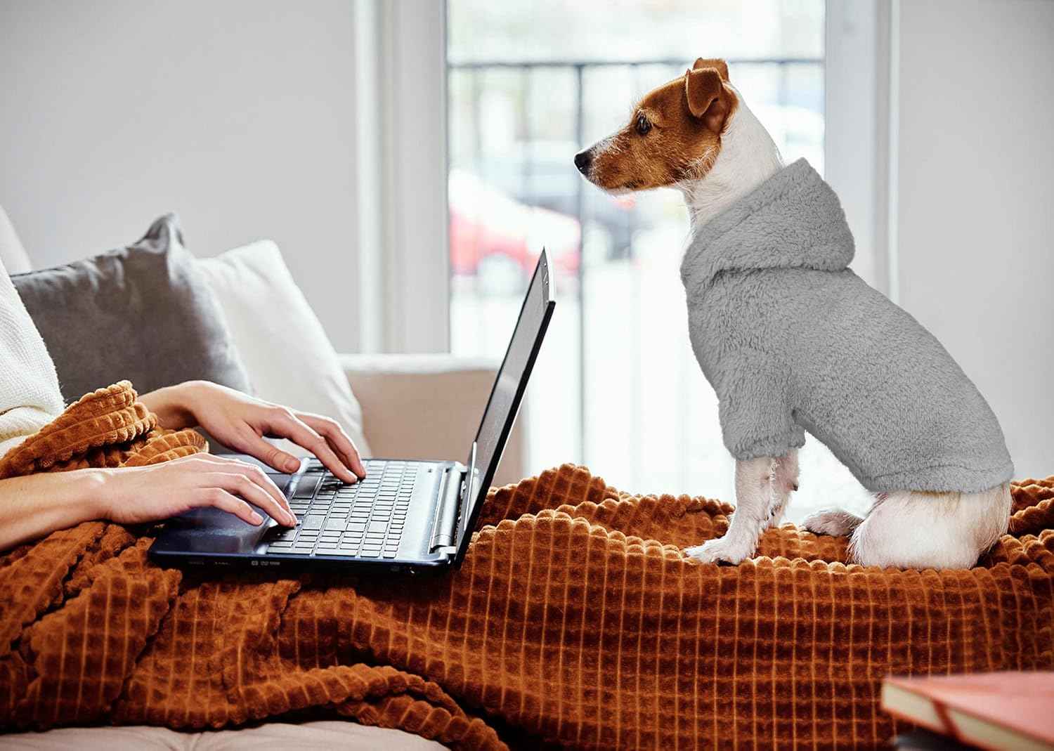 Fuzzy Dog Sweaters for Small Dogs Dog Hoodie Pet Clothes Warm Soft Cozy Coats Hooded Sweatshirt Fleece Small Pet Hoodies Sweater(Grey-XS)