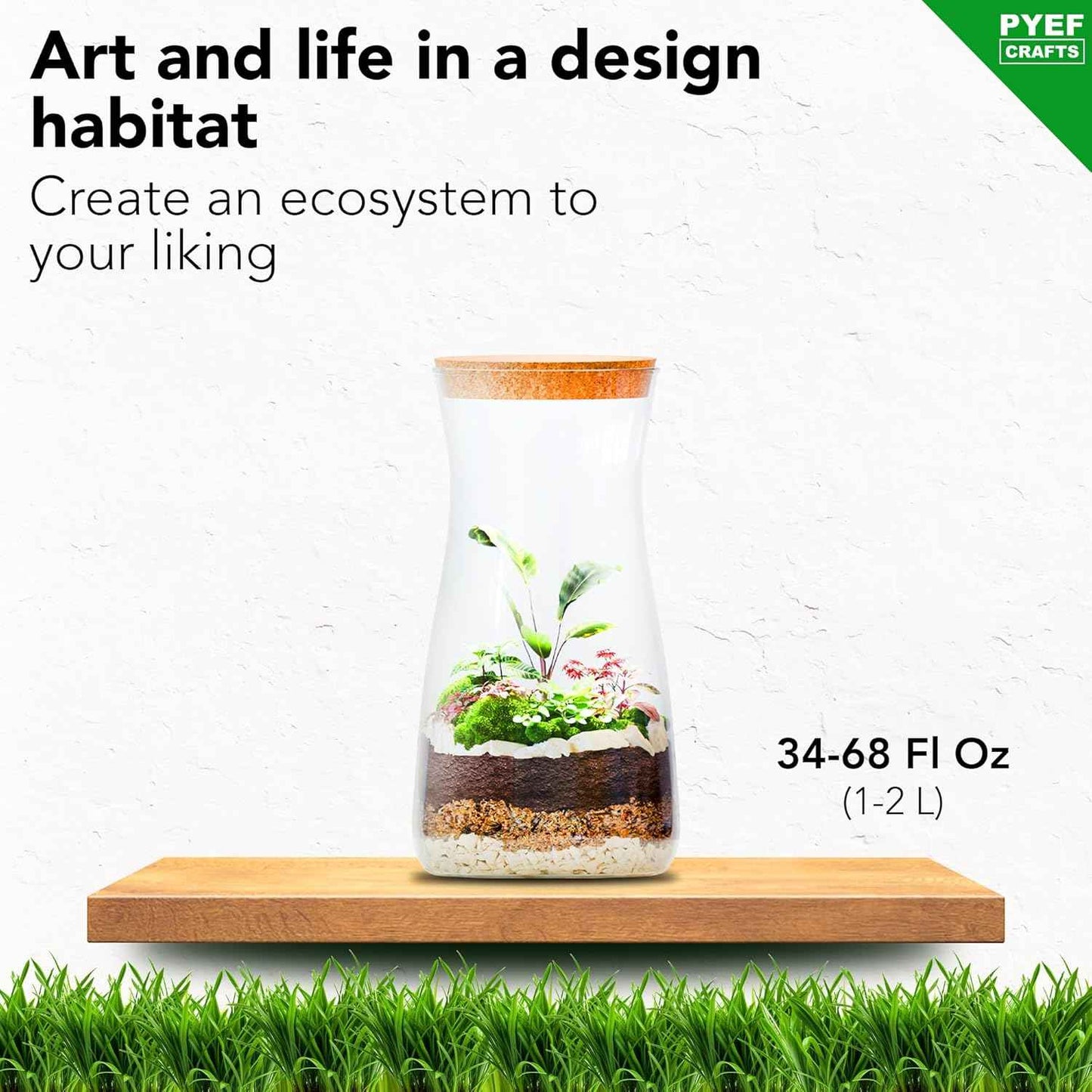 DIY Terrarium Kit for Plants – Build a Self‑Sustaining Closed Ecosystem – Supplies for Up to 68 oz (1‑2 Liter) – Succulents, Air Plants (Tillandsia), Fern – Jar Not Included
