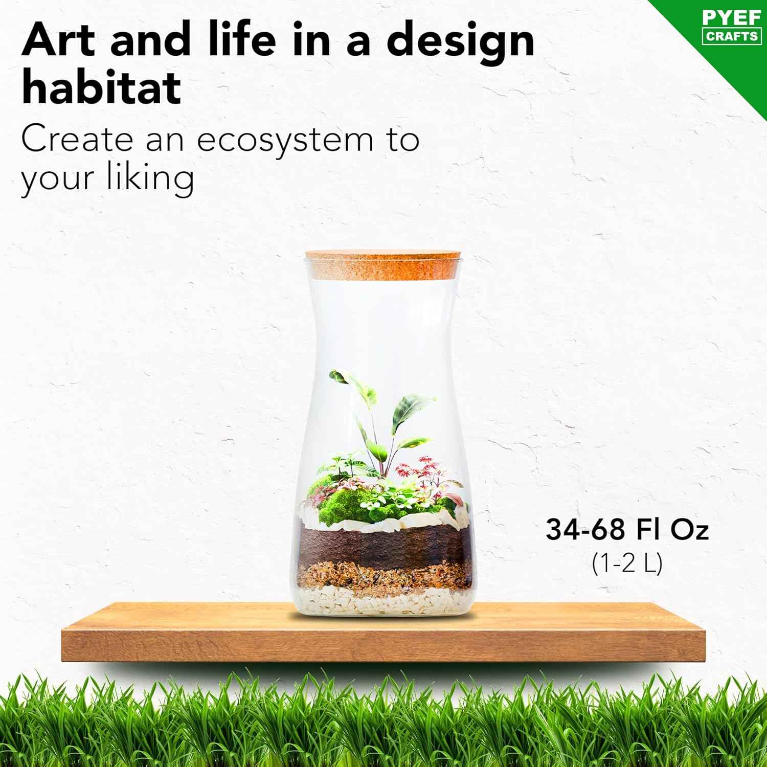 DIY Terrarium Kit for Plants – Build a Self‑Sustaining Closed Ecosystem – Supplies for Up to 68 oz (1‑2 Liter) – Succulents, Air Plants (Tillandsia), Fern – Jar Not Included