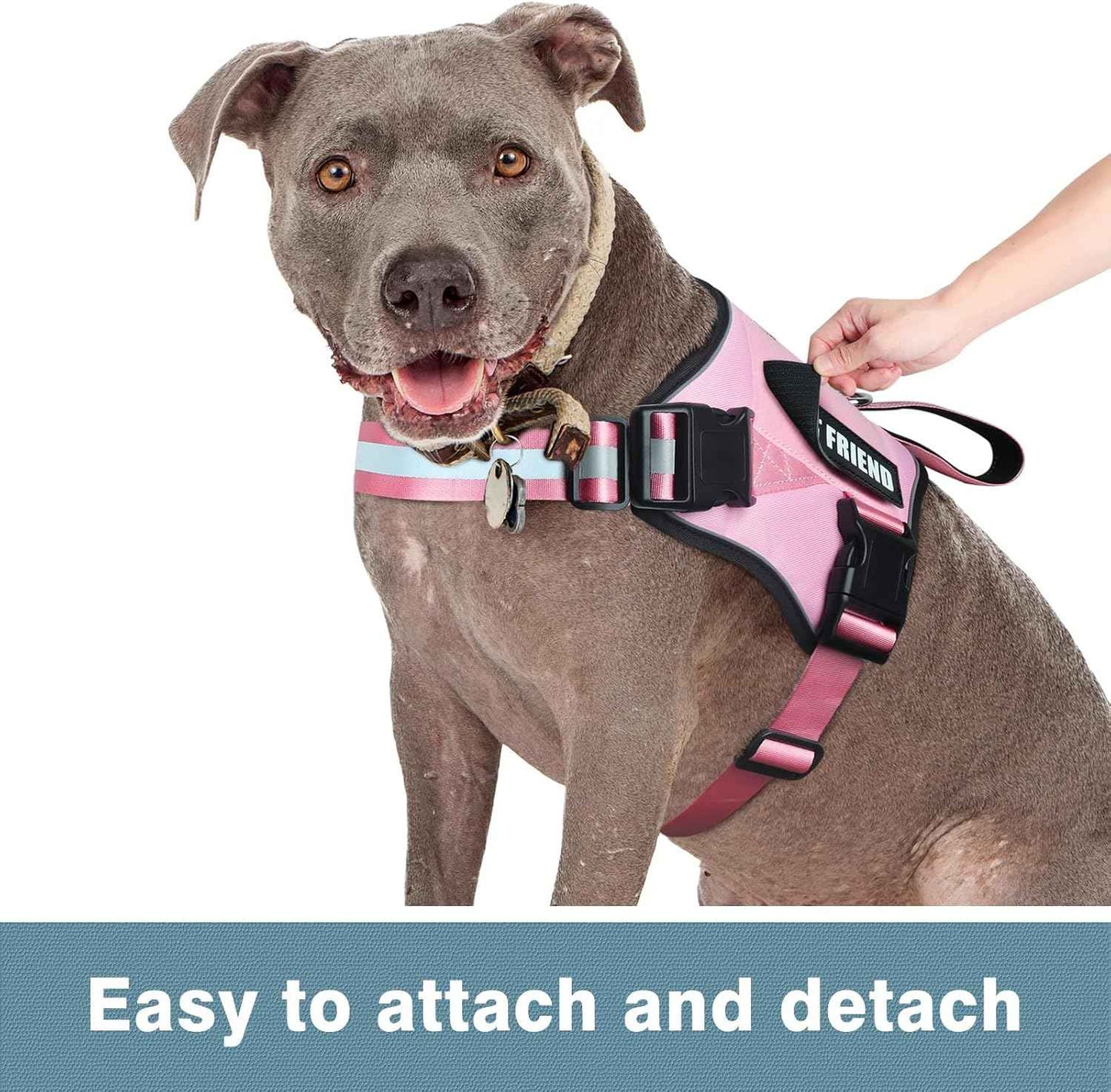 WINSEE Reflective Service Dog Patches Service Dog in Training Patch for Service Vest Dog Harness(7 Pack, S)