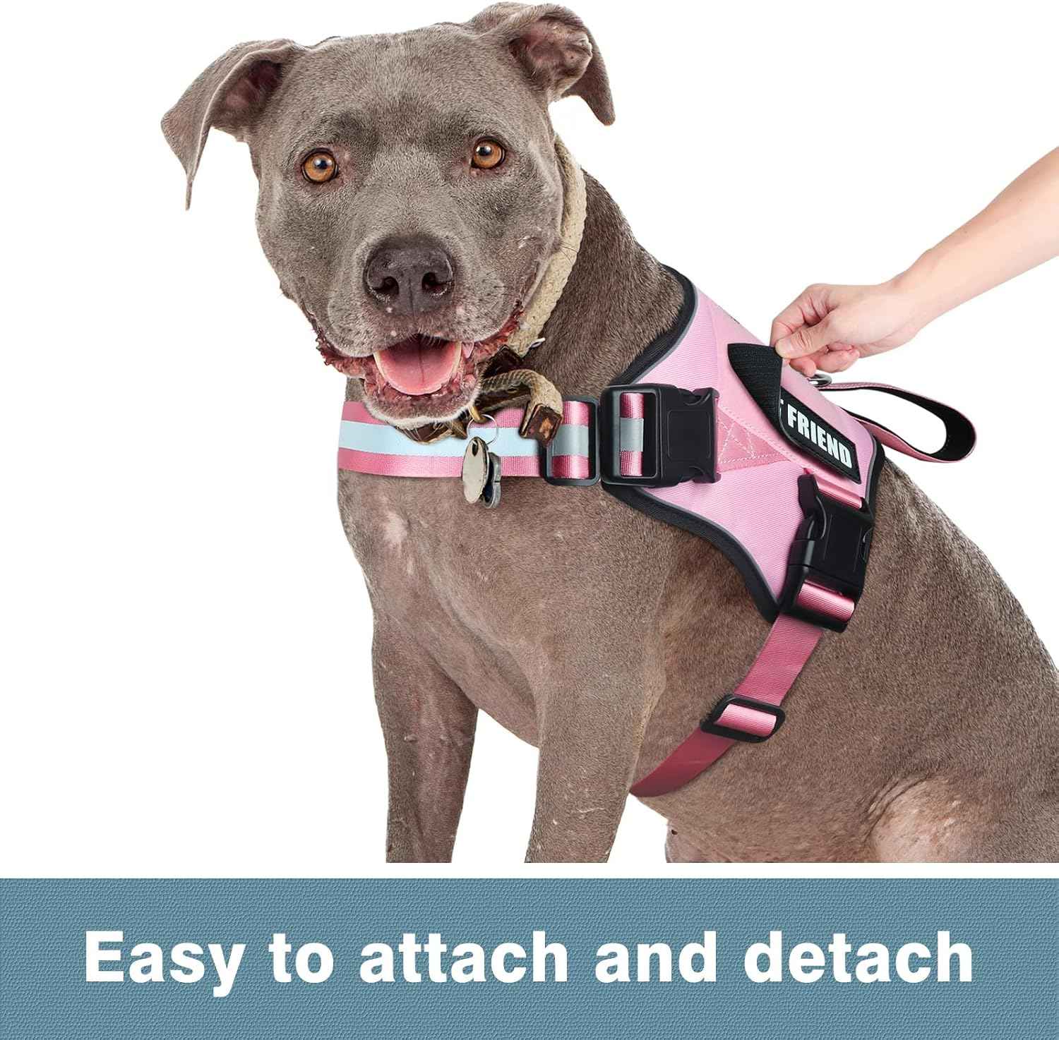 WINSEE Reflective Service Dog Patches Service Dog in Training Patch for Service Vest Dog Harness(7 Pack, S)
