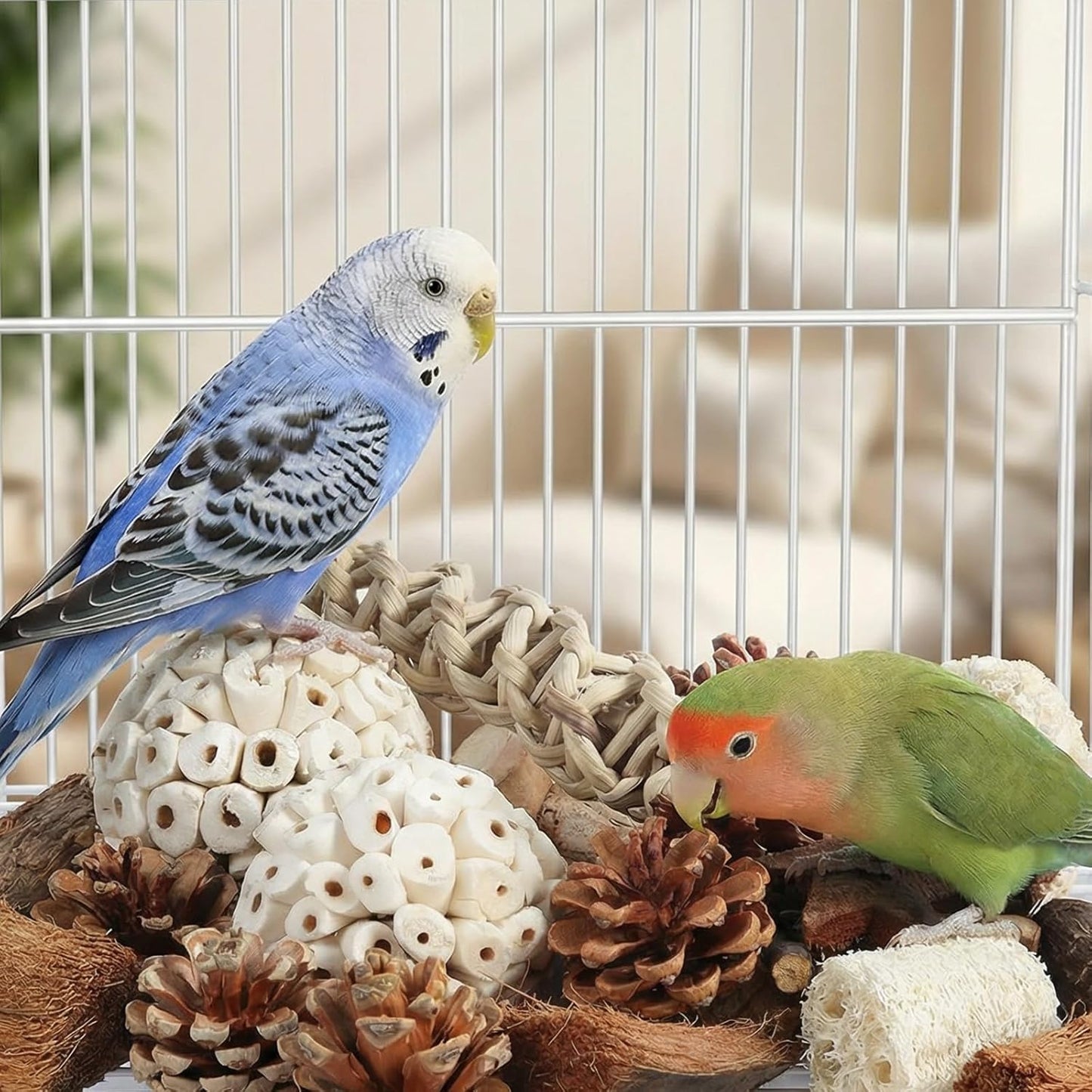 Bird Parrot Toy, Natural Bird Foraging Toy, Suitable for Cockatiels, Lovebirds, budgerigars, Small to Medium-Sized Birds (Large Size)