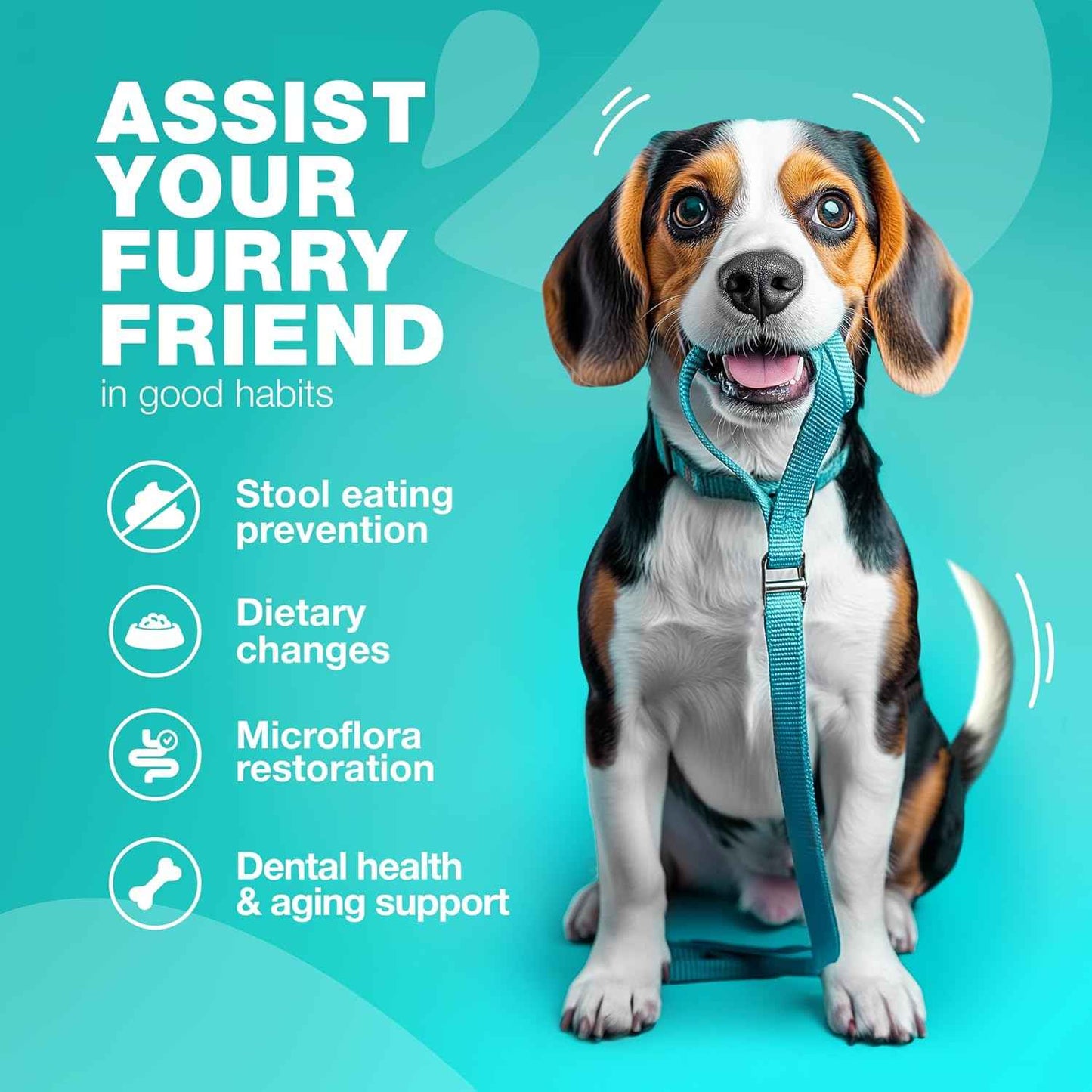 No Poo Chews for Dogs - Coprophagia Deterrent - Dog Probiotics for Digestive Health with Enzymes - Canine Stool Eating Deterrent - Digestive, Dental, Gut & Immune Health Treats - No Poop Eating