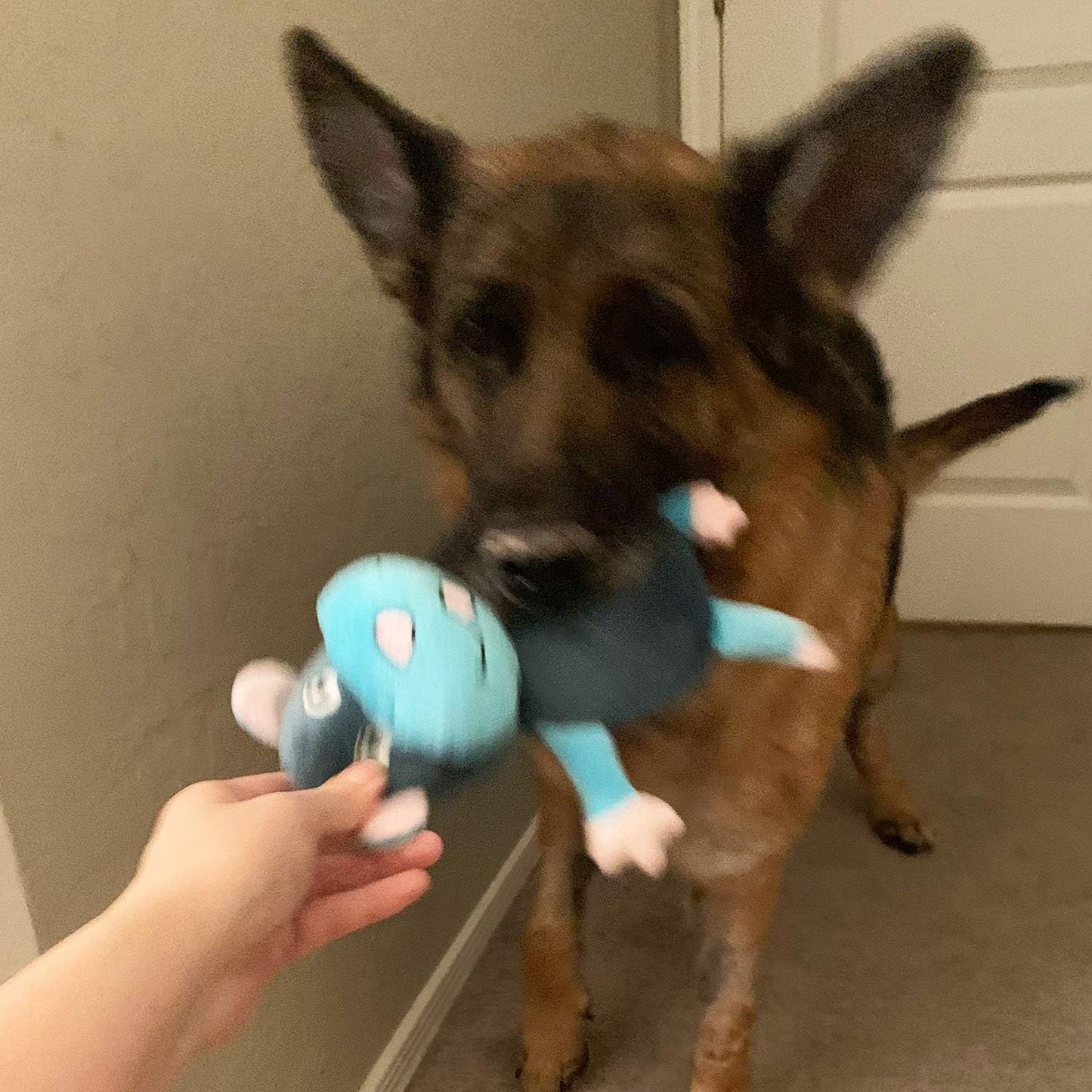 Jalousie Dog Squeaky Toys Value Set Non-Toxic Squeaky Balls Toss Fetch TPR Rubber Puppy Toys Spikey Dog Chew Toy for Small Medium Breed Pet Toys for Puppy (3 Pack 2-in-1 Plush)