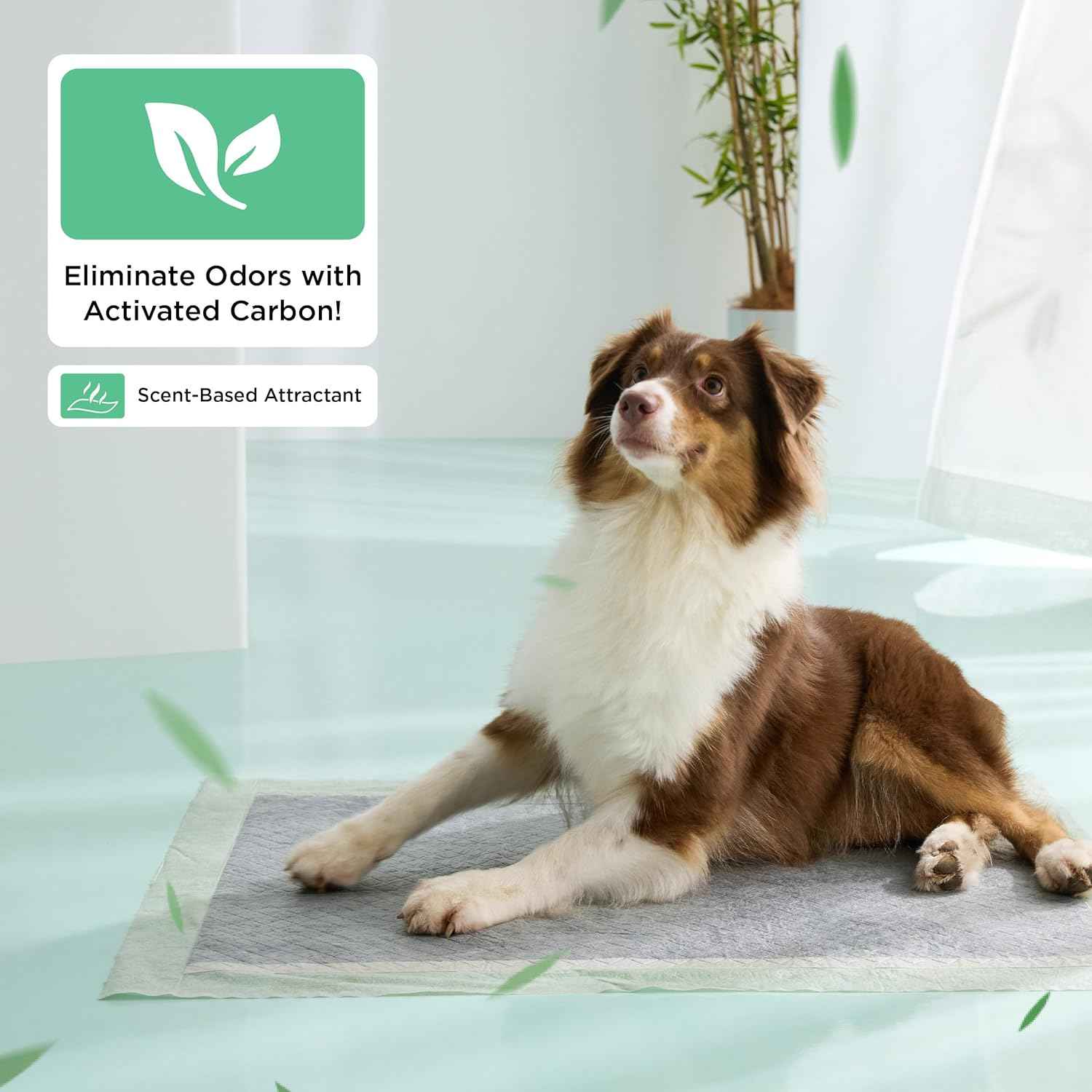 Bedsure Dog Pee Pads Extra Large, 28" x 34" Puppy Pads 30 Count, Super Absorbent & Leak Proof, XL Training Pads Quick Dry Thicken Dog Potty Pad with Odor-Control Activated Carbon & ECO Green Material