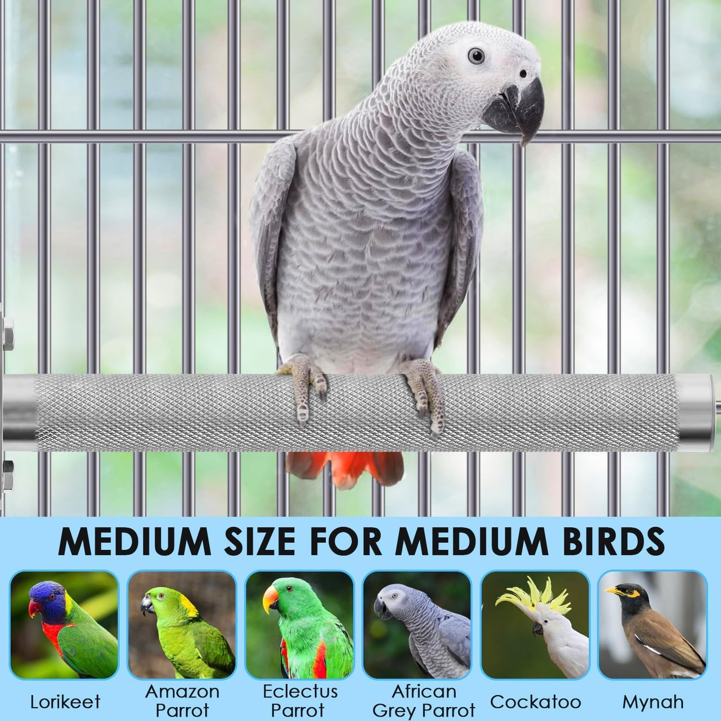 KATUMO Conure Perch - Stainless Steel Bird Stand Rough-surfaced Branch for Small Birds (6 x 0.7 inch)