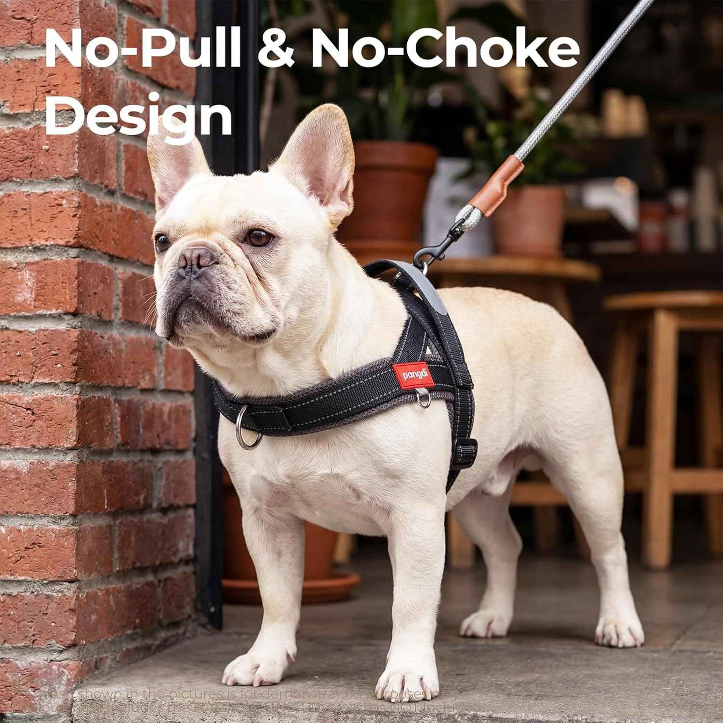 No Pull Dog Harness with Handle, Yorkie Adjustable Reflective Dog Vest, Breathable Air Mesh Padded Pet Harness with Front Leash Clip for Small Medium Dogs, Black, S