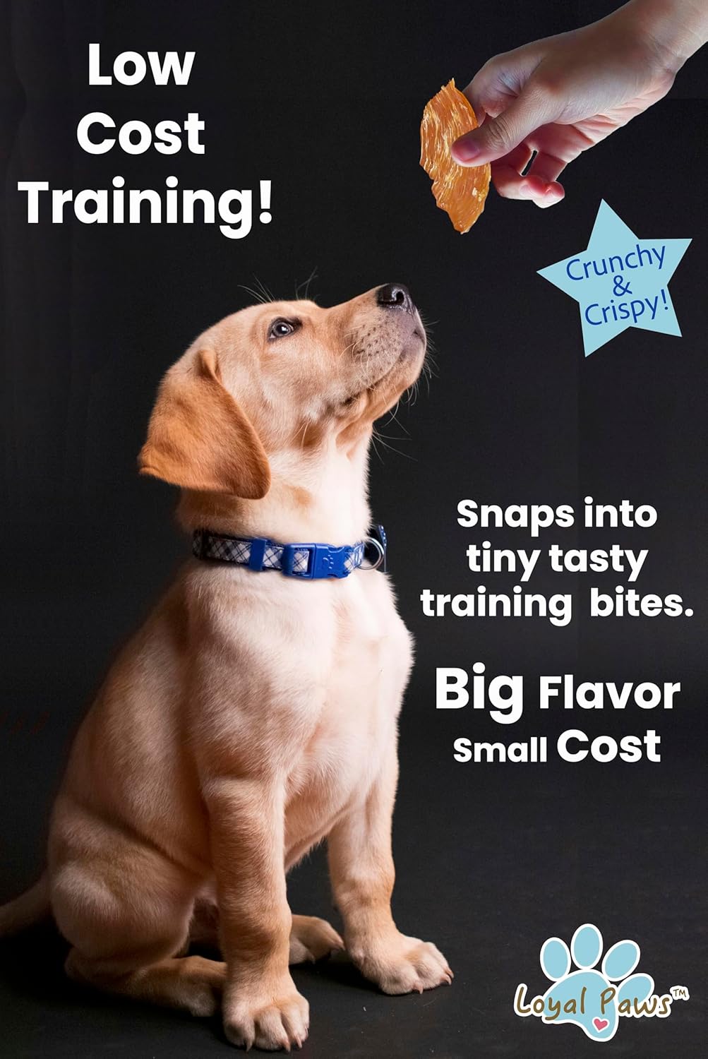 Chicken Jerky Dog Treats for Training – All Natural Chicken Strips for Dogs, High Protein Dog Treats Chicken, Grain Free Dog Snacks, No Fillers, Limited Ingredient Chews Pet Supplies, 4oz
