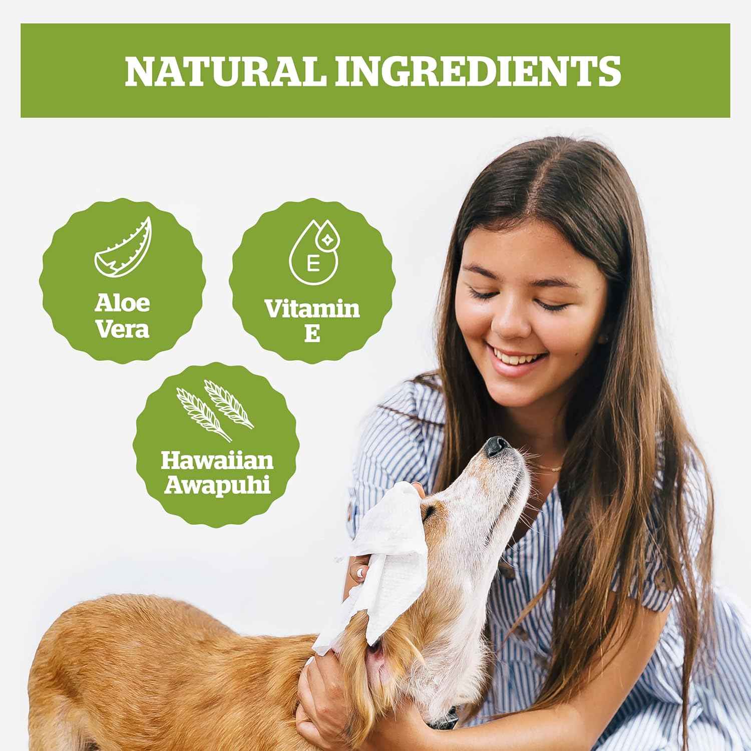 Pogi’s Dog Grooming Wipes – Hypoallergenic Pet Wipes for Paws, Body & Butt – Cleaning & Hydrating, Green Tea Scent, 100-Count