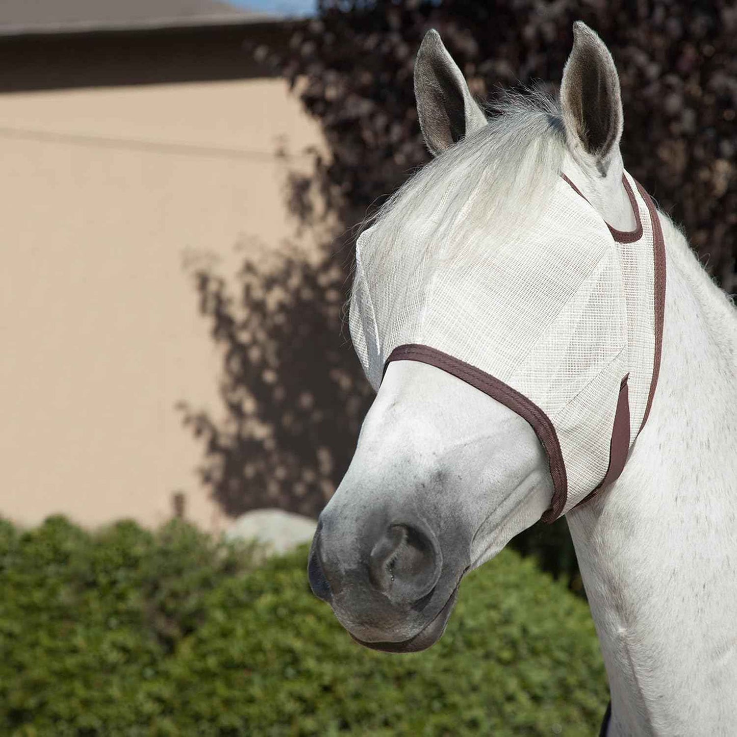 Kensington Fly Mask Web Trim Protects Horses Face and Eyes from Bites and Sun Rays While Allowing Full Visibility Ears and Forelock Able to Come Through The Mask, X-Large, Desert Sand
