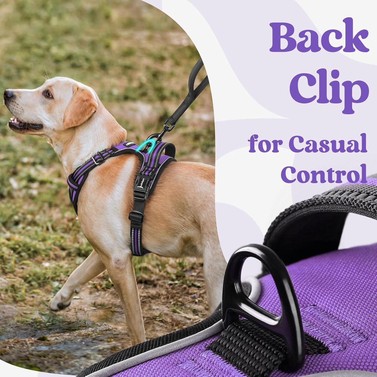 rabbitgoo Dog Harness Small Sized, No Pull Pet Harness with 3 Buckles, Adjustable Soft Padded Vest with Control Handle, Walking Reflective Pet Vest for Small Dogs, Purple, S