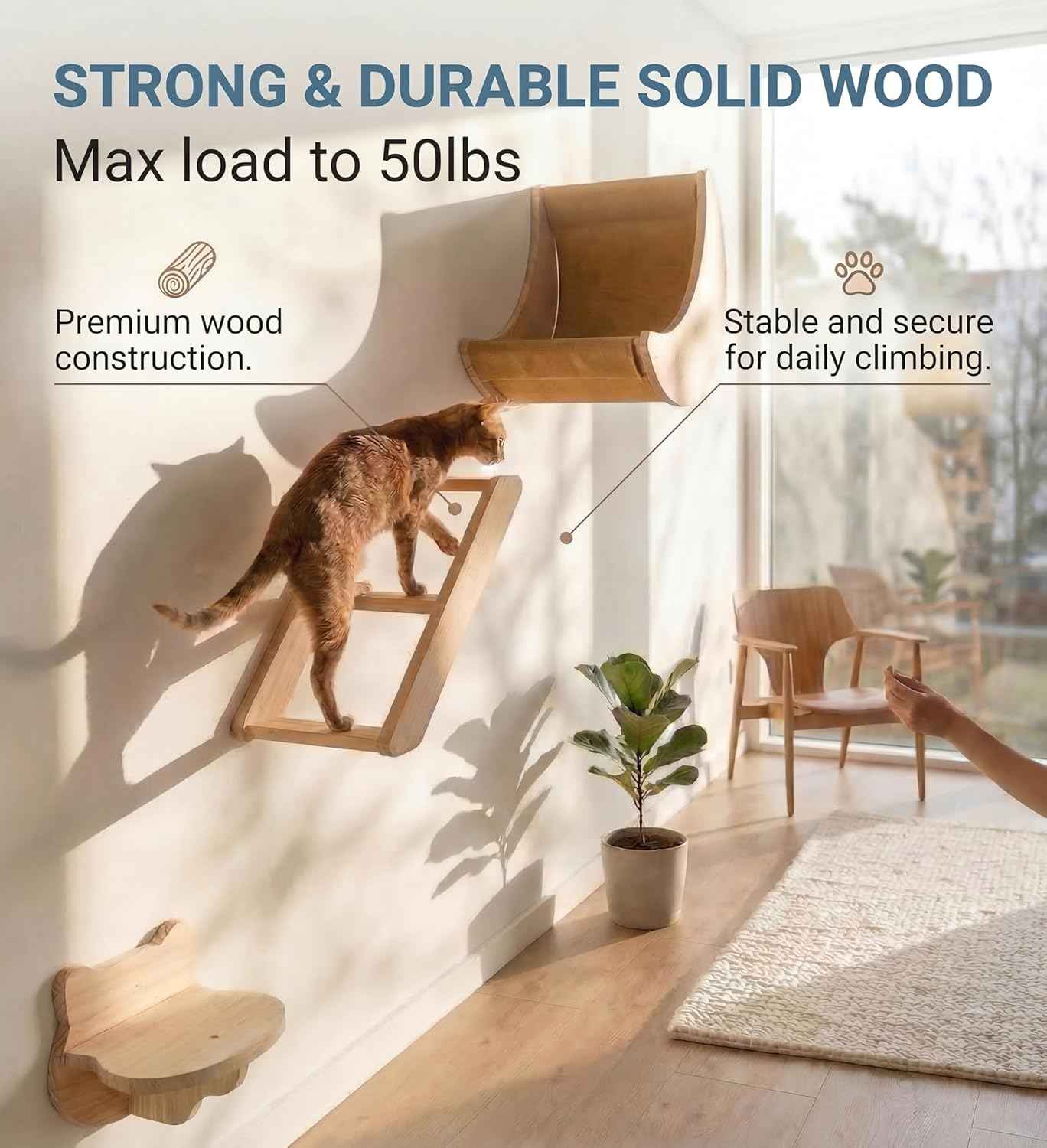 Cat Wall Shelves Set – Solid Wood Cat Wall Furniture with Moon Bed & Ladder, Wall Mounted Climbing Shelves for Indoor Cats, Space Saving Cat Gym Wall System (3pcs/Set)