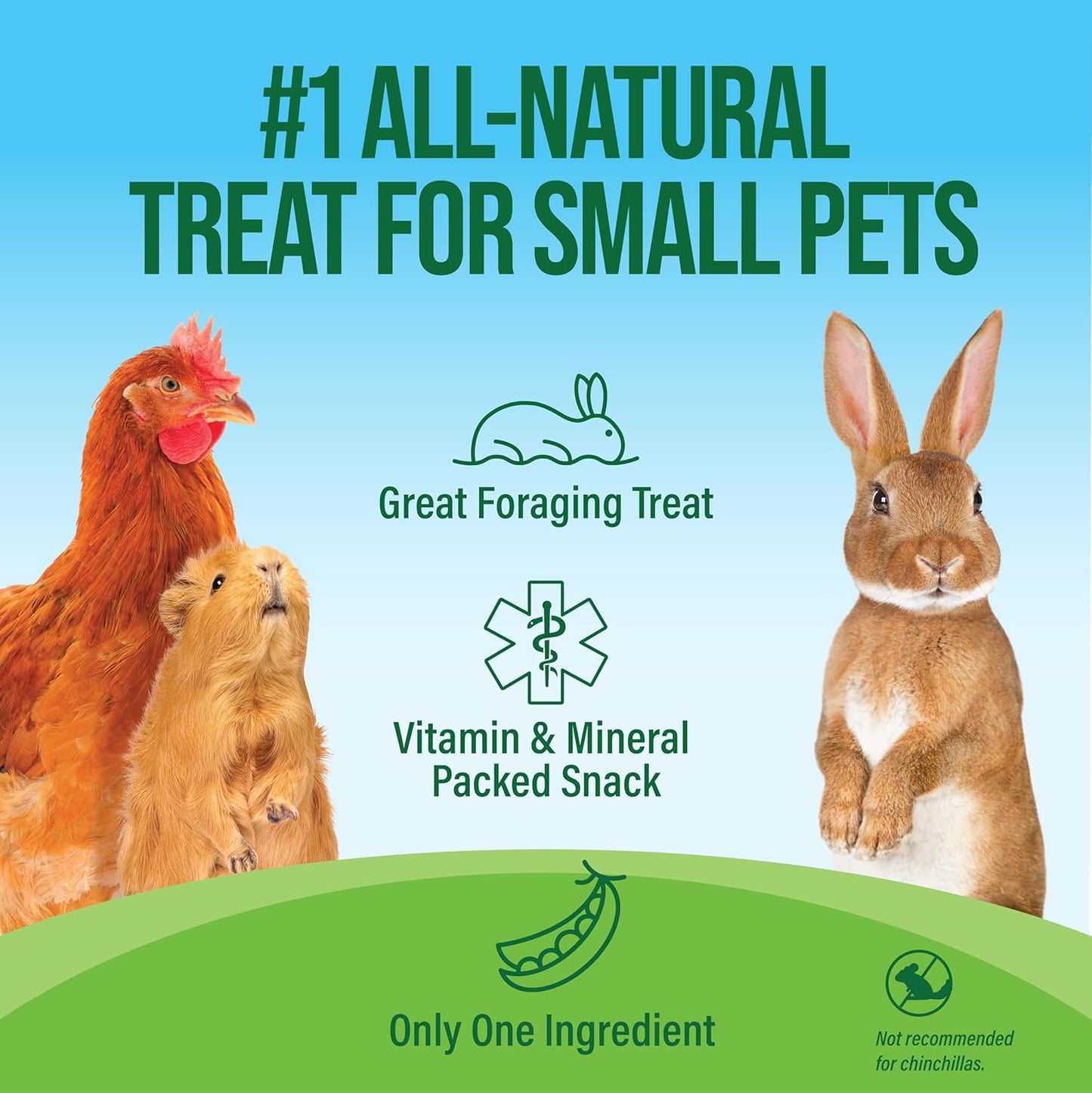 Small Pet Select - Pea Flakes, Treats for Rabbit Bunny, Guinea Pig, Chickens, Bunny, Hamster, and Other Small Pets, 1 lb