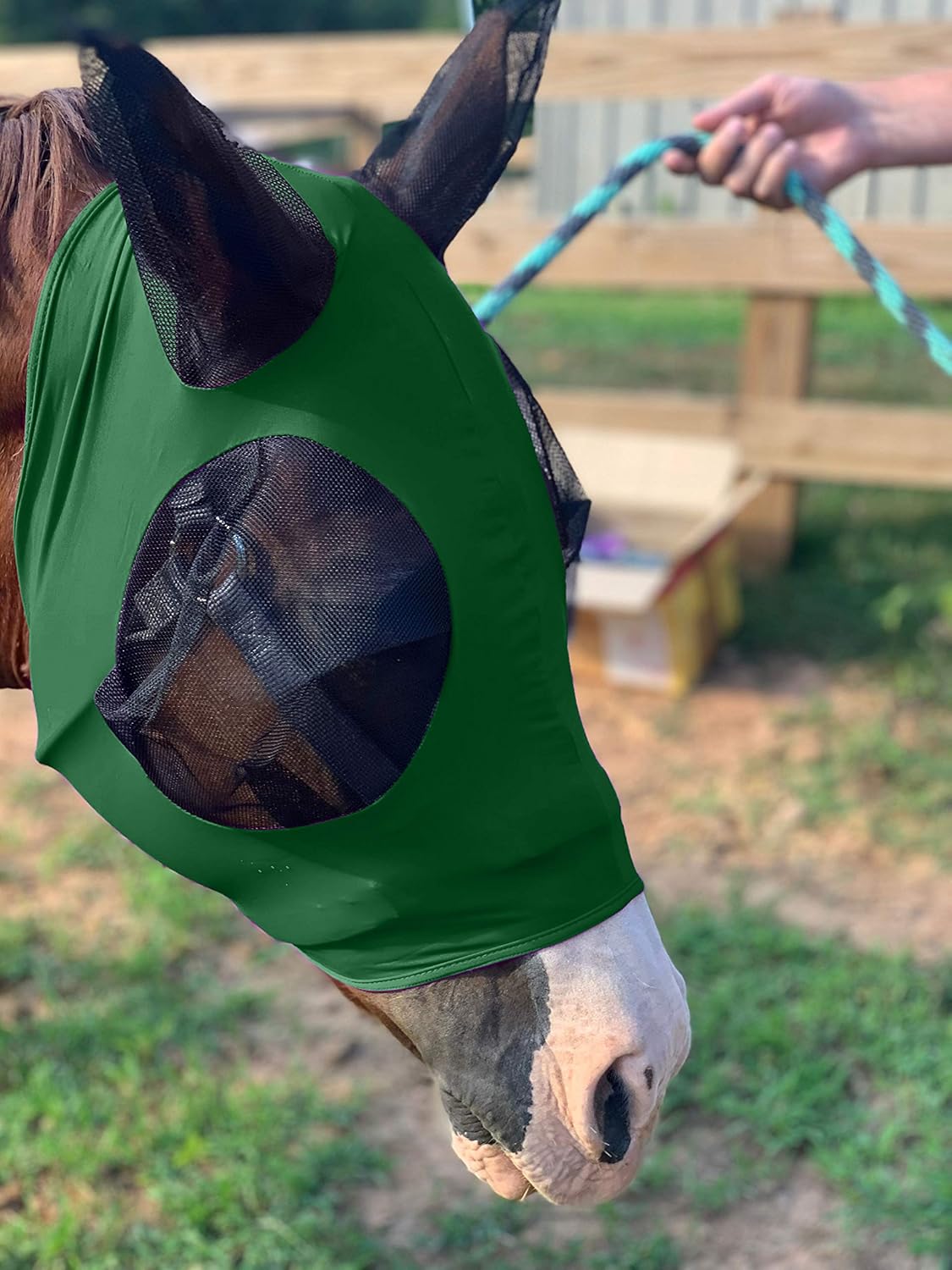 Horse Fly Mask - Durable Equine Fly Mask with Full Coverage for Eye & Ear - Stretchable, UV & Sun Protection Flymask for Horses, Ponies & Mini Horses - Horse Face Cover for Pasture & Trail - Green