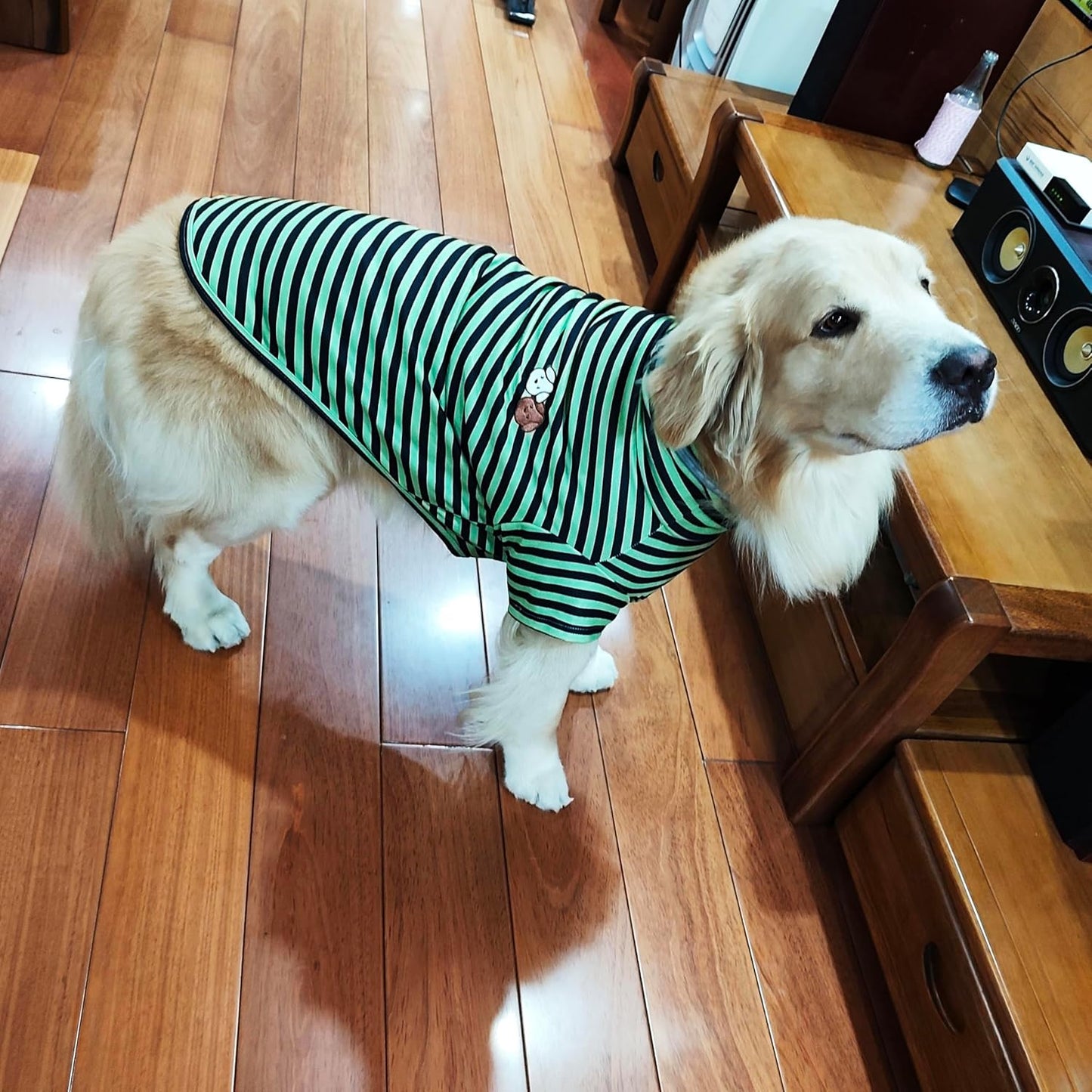 Turtleneck Dog Shirts for Large Dogs, Striped T-Shirt Comfy Stretchy Shirt Puppy Sweater Warm Costumes Pet Pullover Clothes for Big Breeds (Green Striped, 5X-Large)
