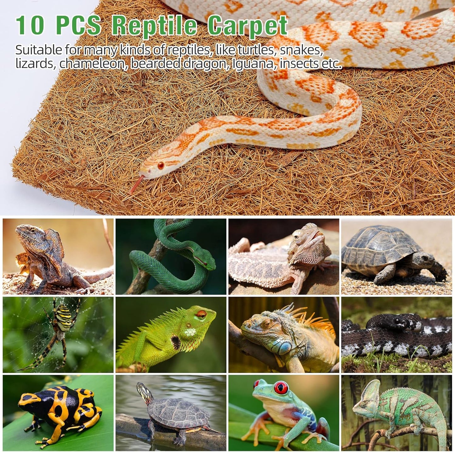 ZeeDix 10 Pieces Reptile Carpet- 12 x 12 inches Natural Coconut Fiber Pet Mat Tortoise Carpet Mat Coco Fiber Substrate Liner Pet Terrarium Liner for Lizard Turtle Snake Gecko Bearded Dragon