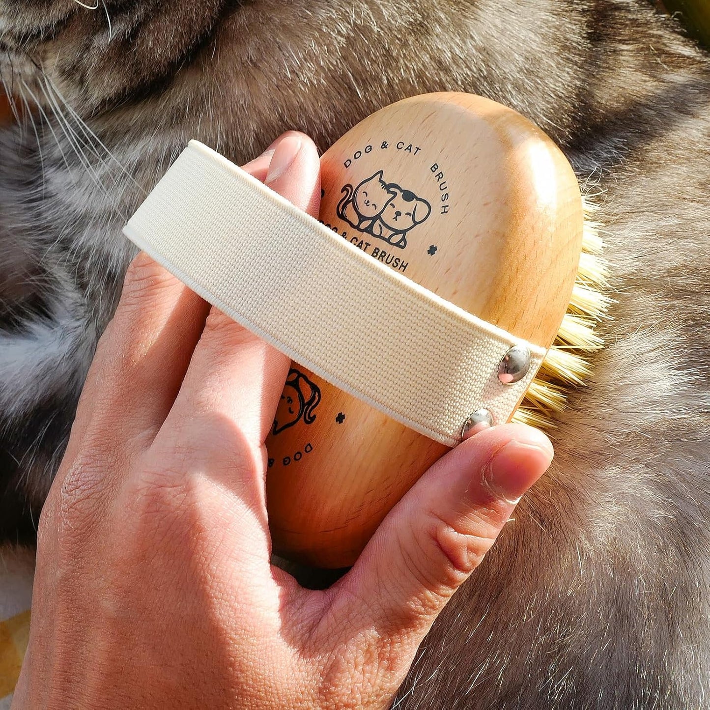 Soft Dog Brush, Pets Palm Brush for Dog and Cat Grooming - Bristle Brush for Dogs Short Haired - Soft Bristle Dog Brush Handheld - Ideal for Small Dogs Daily Gentle Grooming Brush (Beechwood)