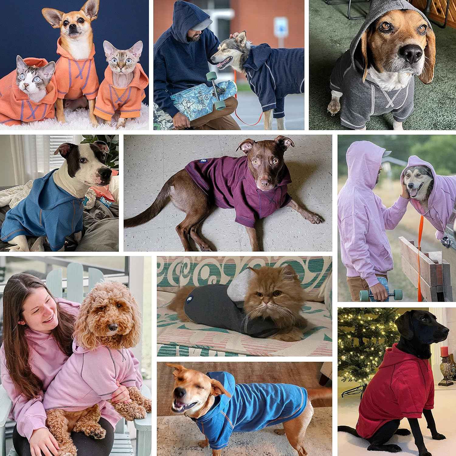 Blueberry Pet Essentials Dog Hoodie – 26 inch, Cotton‑Blend Sweatshirt with Hood, Midnight Blue, Machine‑Washable Small‑Dog Jersey