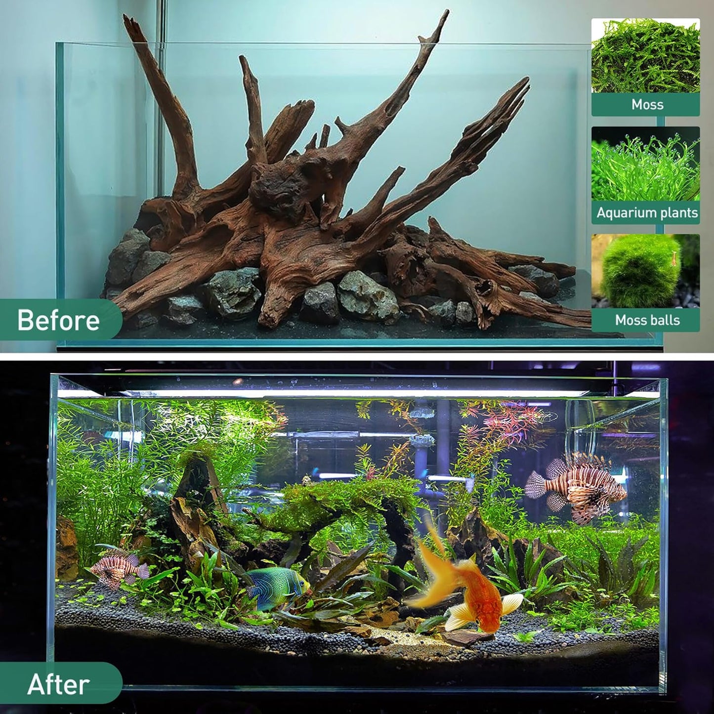 WDEFUN Natural Driftwood for Aquarium Decor, 5-Piece 5''-8'' Large Driftwood for Decorations on Fish Tank, Reptiles Bearded Dragon Accessories or Air Plants