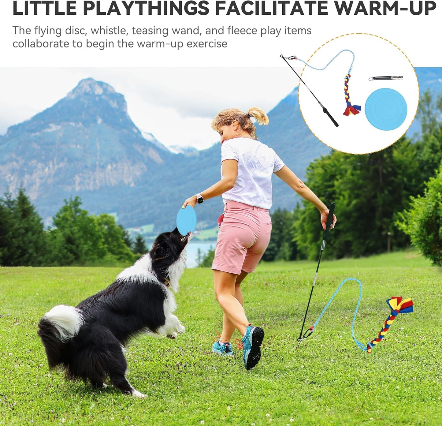 YITAHOME Dog Agility Training Equipment Set with 2 Flexible Tunnels, 2 Hurdles, Jump Ring, 6 Weave Poles, Pause Platform, Teaser Pole, 3 Flying Discs, and Carry Bags for Indoors Outdoors, Orange/Blue