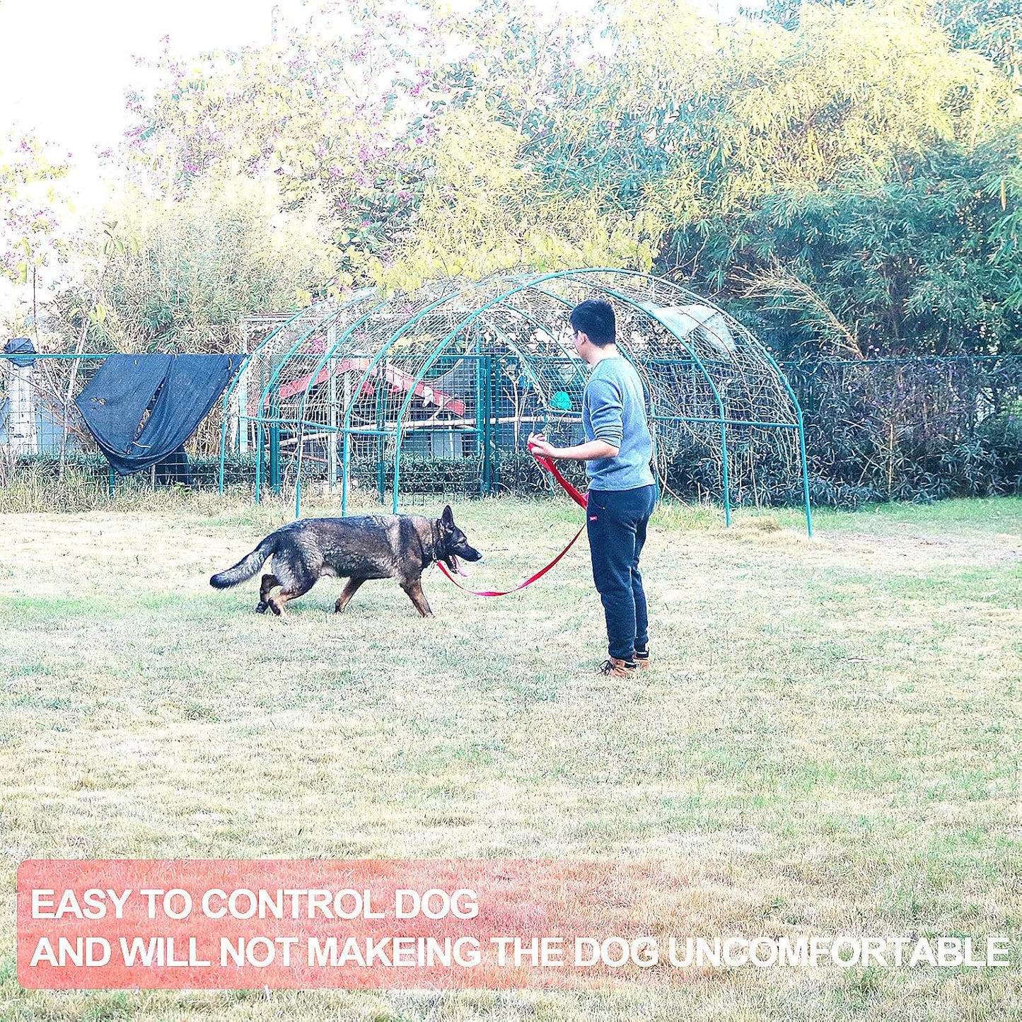 Dog/Puppy Obedience Recall Training Agility Lead - 15ft 20ft 30ft 40ft 50ft Training Leash - Great for Play, Camping, or Backyard - Blue 15ft (15Feet, Blue)