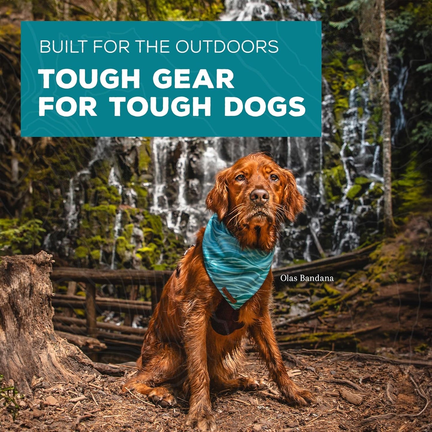 Wilderdog Dog Bandana with Lightweight Quick Drying Poly-Blend Mesh Material in Rodeo