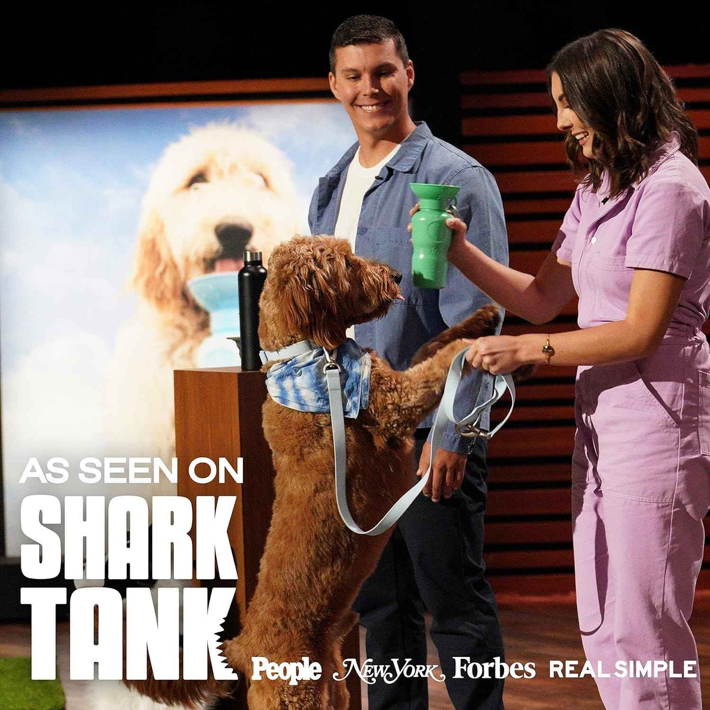 Springer Dog Water Bottle | Portable Travel Drinking Feeder Dispenser for Dogs & Puppies | As Seen on Shark Tank | Leak-Proof Bowl | BPA-Free | Outdoor Walking, Hiking & Travel | 15oz Blue
