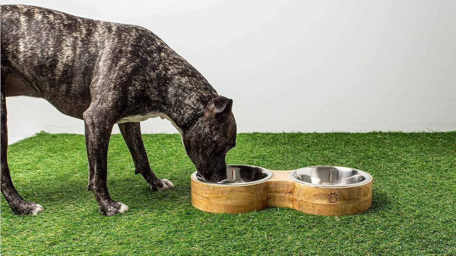 Luxury Elevated Dog Bowl Set - Mango Wood Stand with 2 Stainless Steel Food & Water Bowls - Raised Pet Feeder with Non-Slip Base, Modern Design for All Dog Sizes, Large 48oz