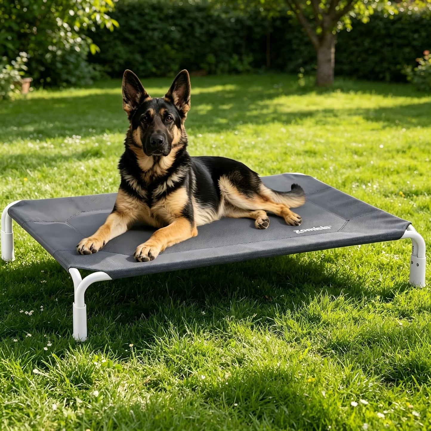 ZOMISIA XL Elevated Dog Cot Bed Tool-Free Assembly - Outdoor Raised Dog Cooling Bed Frame for Large Pets, Summer Pet Hammock Off Ground with Non-Slip Feet & Waterproof Teslin Mesh, 48x33 Inch