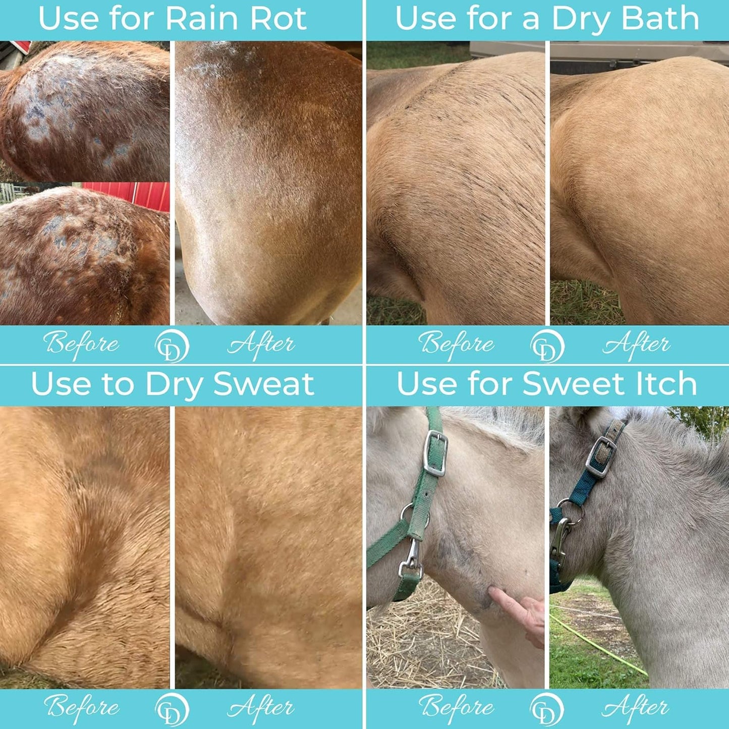 COAT DEFENSE Daily Grooming Powder for Horses | Dry Shampoo with Natural Ingredients | 64 oz Formula for Fresh, Healthy-Looking Coat
