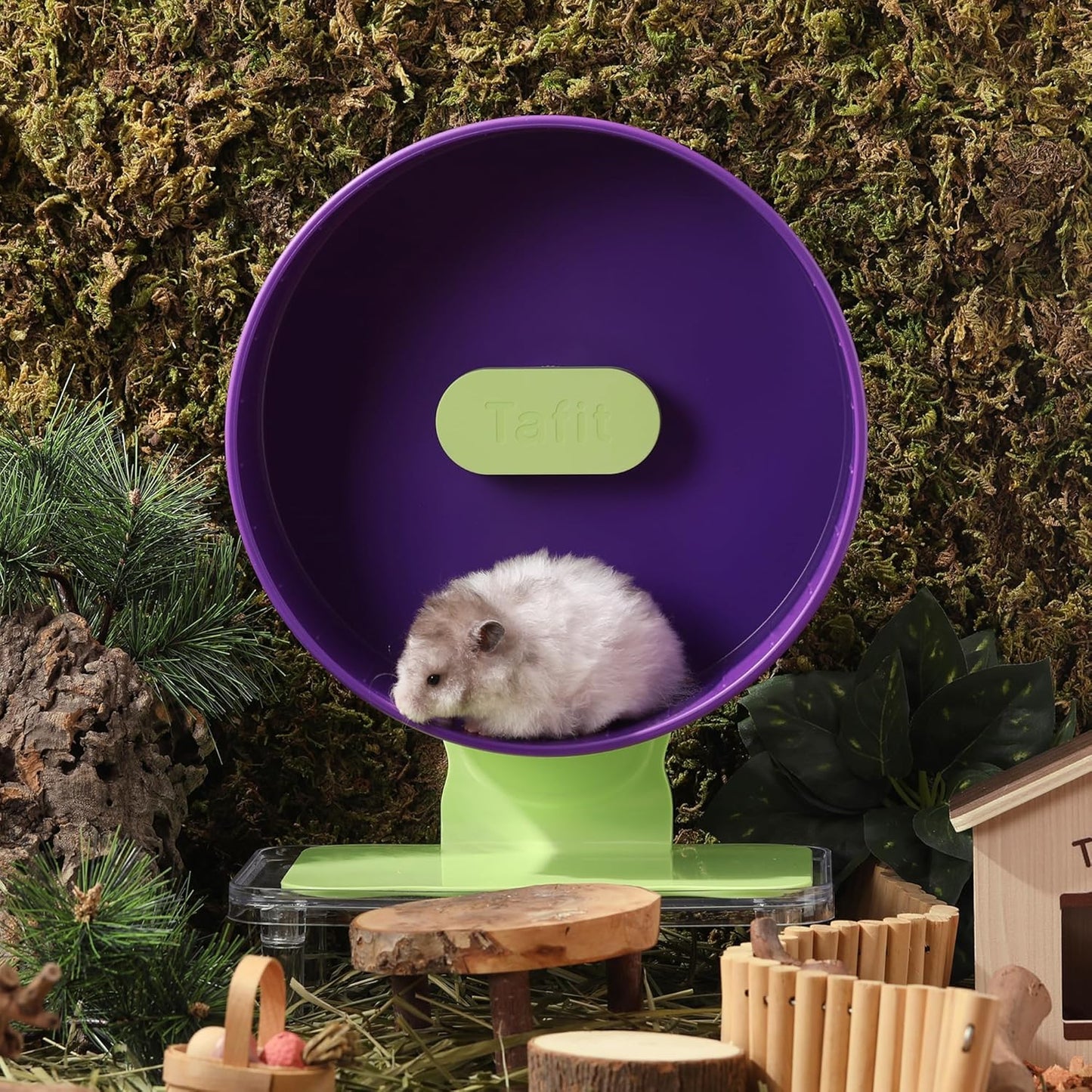 Quiet Hamster Wheel 10.2 Inch Dual-Bearings Silent Small Animals Running Exercise Wheel Height Adjustable for Syrian Hamsters, Gerbils, Rats, or Other Small Pets, Grape Purple