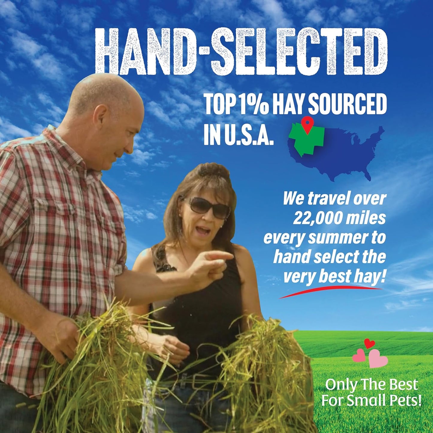 Small Pet Select 1st Cutting Timothy Hay, Animal Food for Guinea Pig, Rabbit, Hamster, Bunny, or Chinchilla, Natural Hay Grown in the USA, 2lb