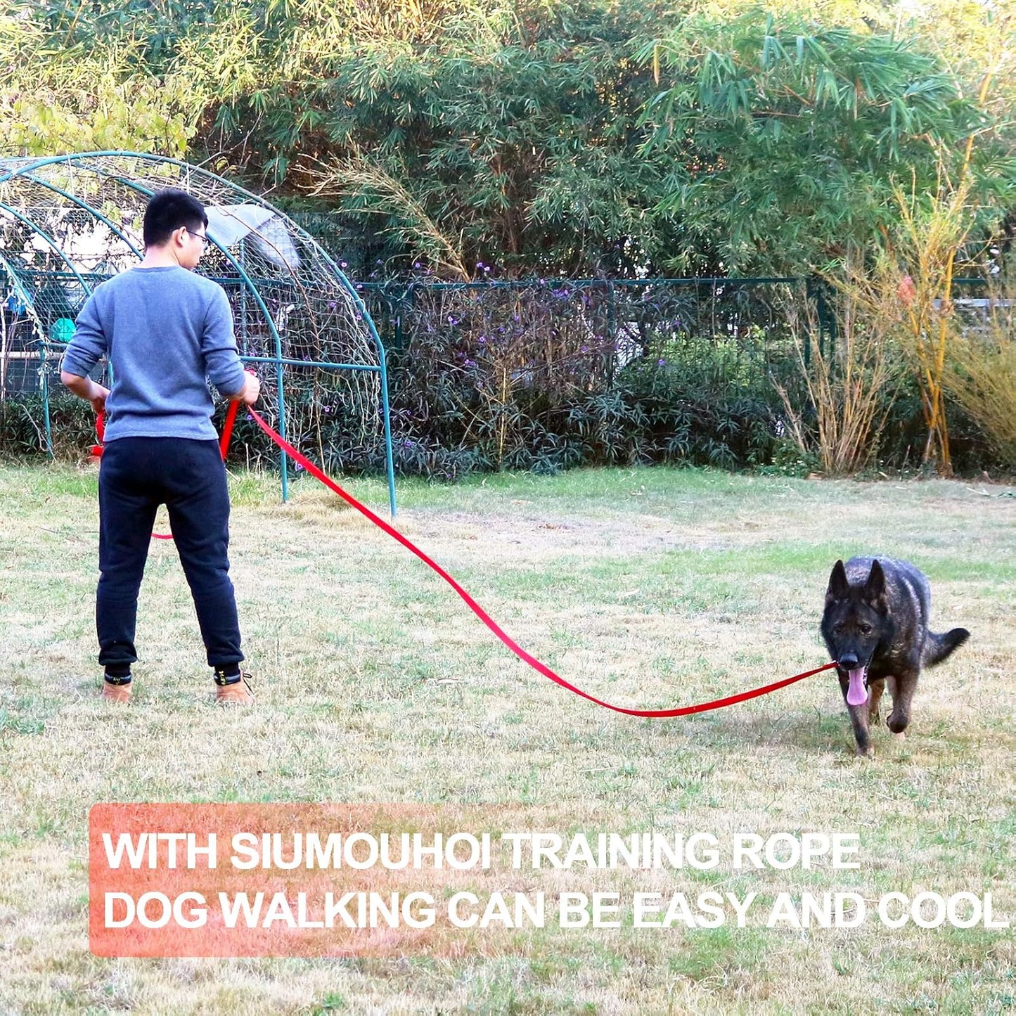 Dog/Puppy Obedience Recall Training Agility Lead - 30ft Long Training Leash，3/4in Wide - Great for Play, Camping, or Backyard（Purple 30 Feet